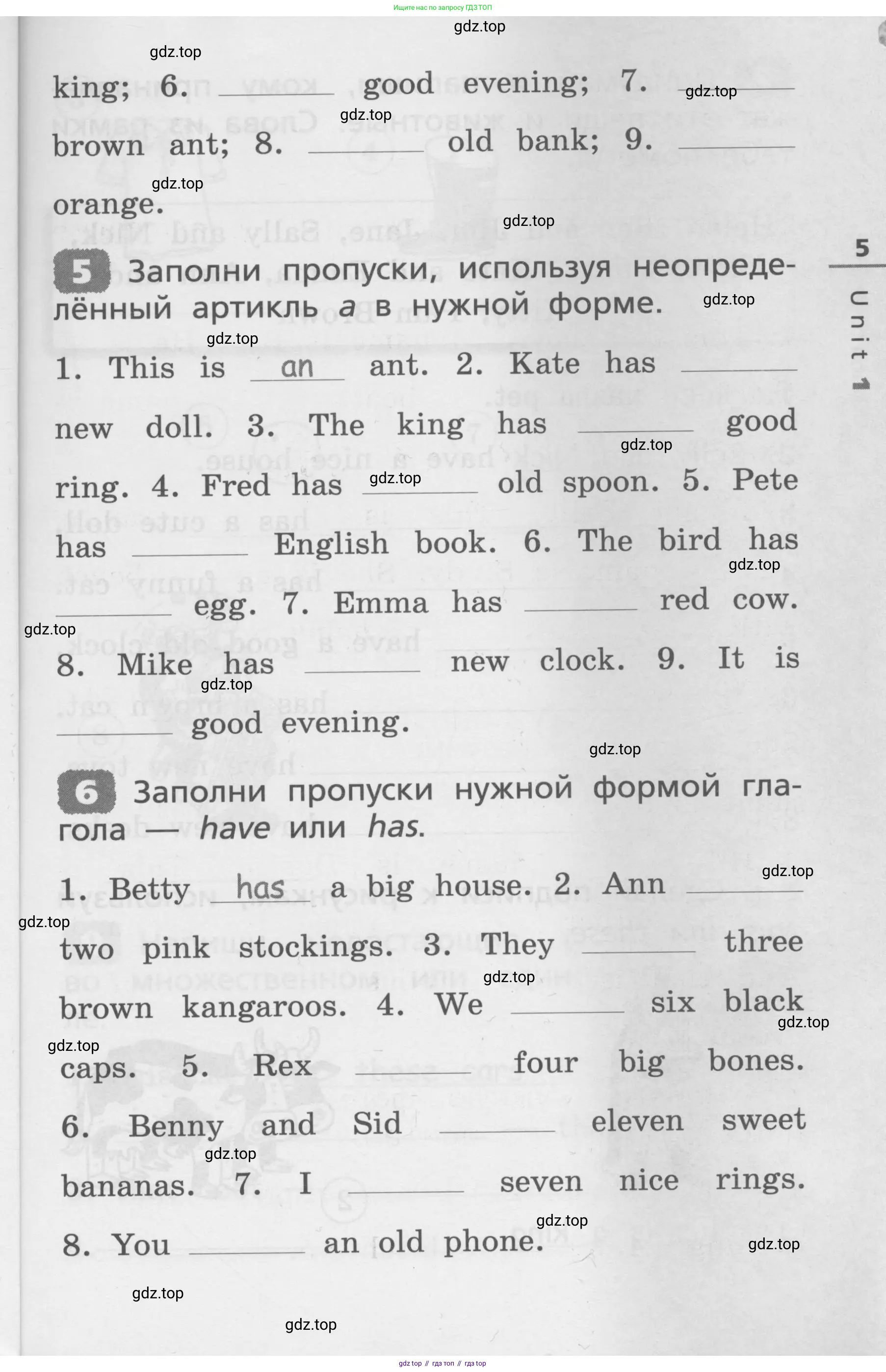 Английский язык (english), 3 класс Лексико-грамматический практикум, авторы: Афанасьева Ольга Васильевна (Afanasyeva Olga), Михеева Ирина Владимировна (Mikheeva Irina), Сьянов Александр Валерьевич, издательство Дрофа, Москва, 2017, зелёного цвета, страница 5