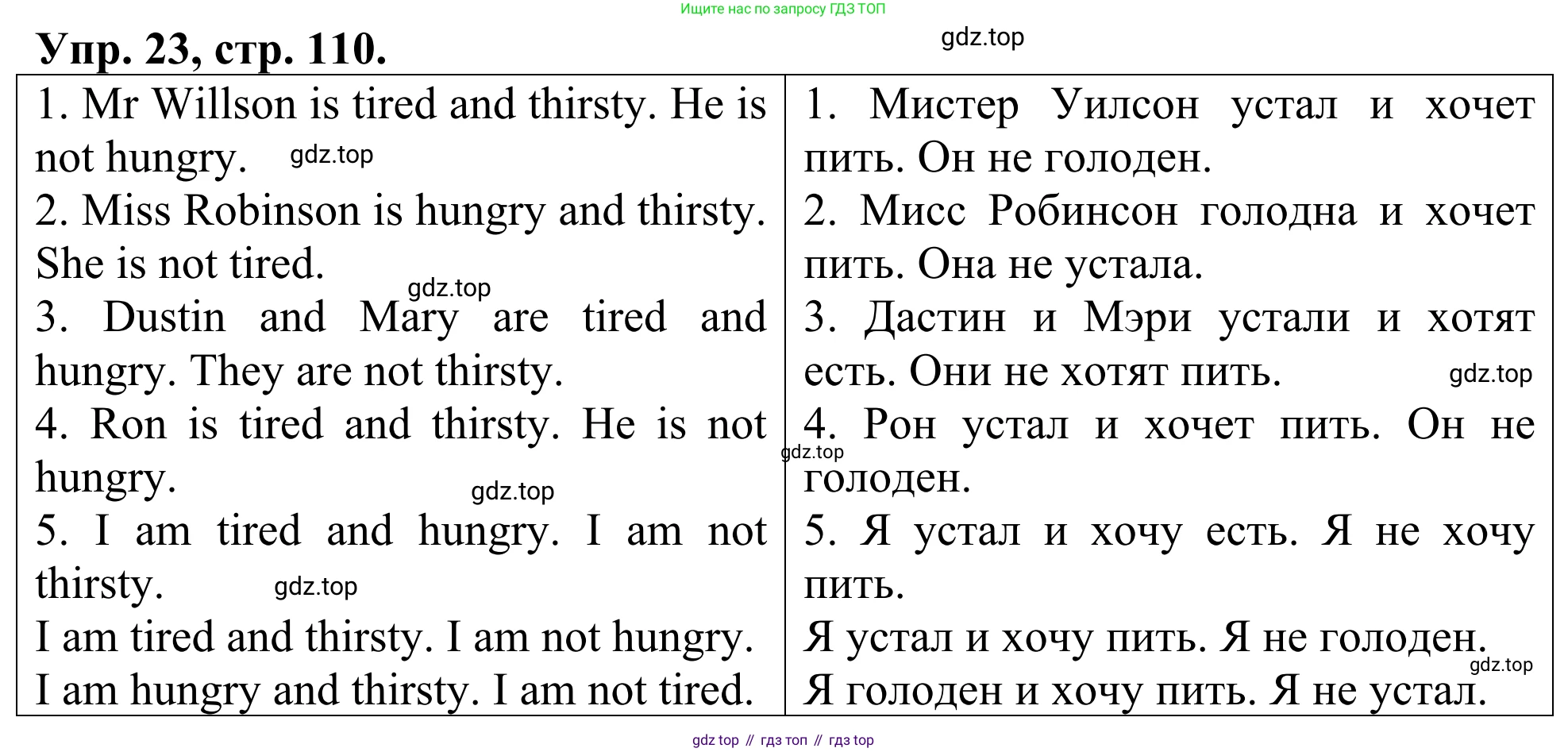 ГДЗ Английский язык (english), 3 класс Лексико-грамматический практикум, авторы: Афанасьева Ольга Васильевна (Afanasyeva Olga), Михеева Ирина Владимировна (Mikheeva Irina), Сьянов Александр Валерьевич, издательство Дрофа, Москва, 2017, зелёного цвета, страница 110, номер 23, Решение