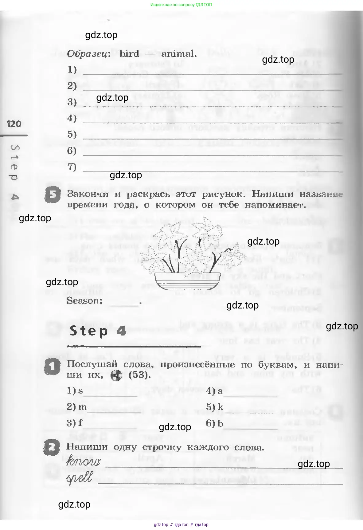 Английский язык (english), 3 класс рабочая тетрадь, авторы: Афанасьева Ольга Васильевна (Afanasyeva Olga), Михеева Ирина Владимировна (Mikheeva Irina), издательство Дрофа, Москва, 2016 - 2022, зелёного цвета, страница 120