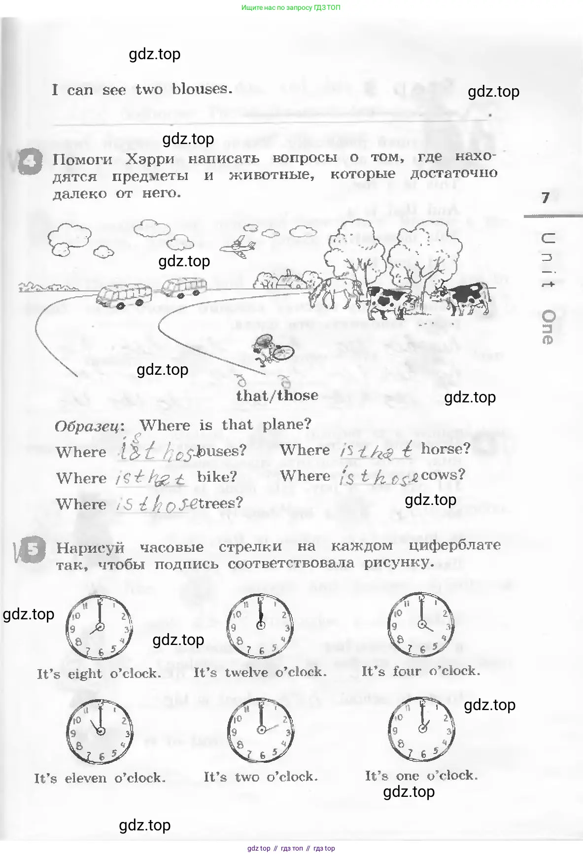 Английский язык (english), 3 класс рабочая тетрадь, авторы: Афанасьева Ольга Васильевна (Afanasyeva Olga), Михеева Ирина Владимировна (Mikheeva Irina), издательство Дрофа, Москва, 2016 - 2022, зелёного цвета, страница 7