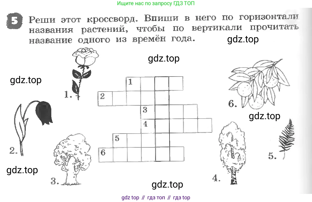 ГДЗ Английский язык (english), 3 класс рабочая тетрадь, авторы: Афанасьева Ольга Васильевна (Afanasyeva Olga), Михеева Ирина Владимировна (Mikheeva Irina), издательство Дрофа, Москва, 2016 - 2022, зелёного цвета, страница 124, номер 5, Условие