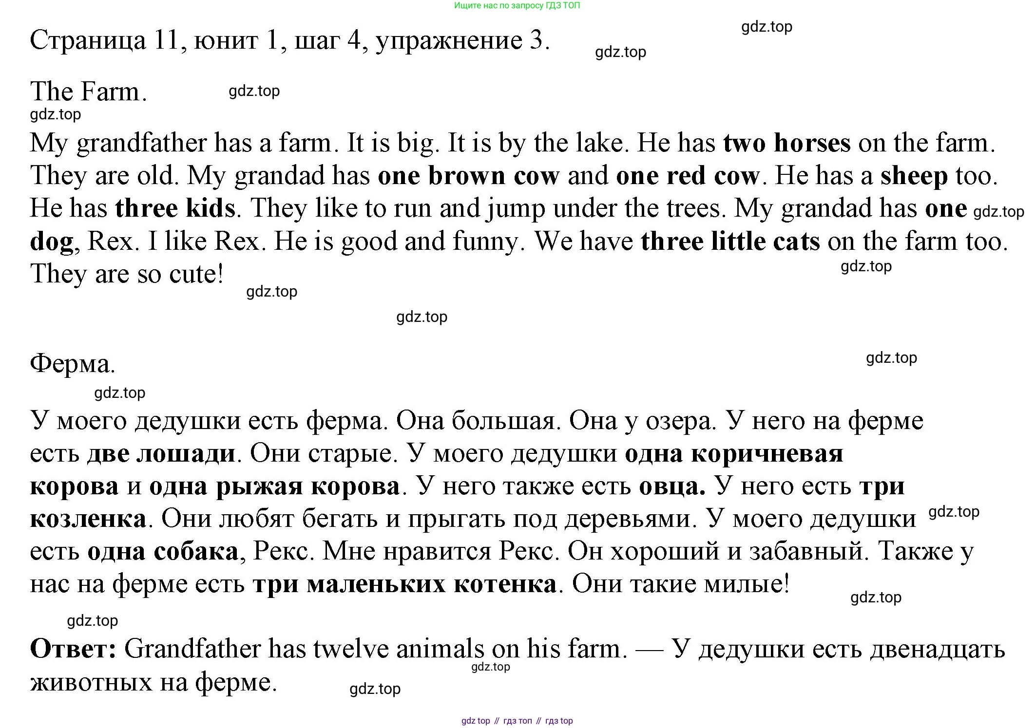 ГДЗ Английский язык (english), 3 класс рабочая тетрадь, авторы: Афанасьева Ольга Васильевна (Afanasyeva Olga), Михеева Ирина Владимировна (Mikheeva Irina), издательство Дрофа, Москва, 2016 - 2022, зелёного цвета, страница 11, номер 3, Решение