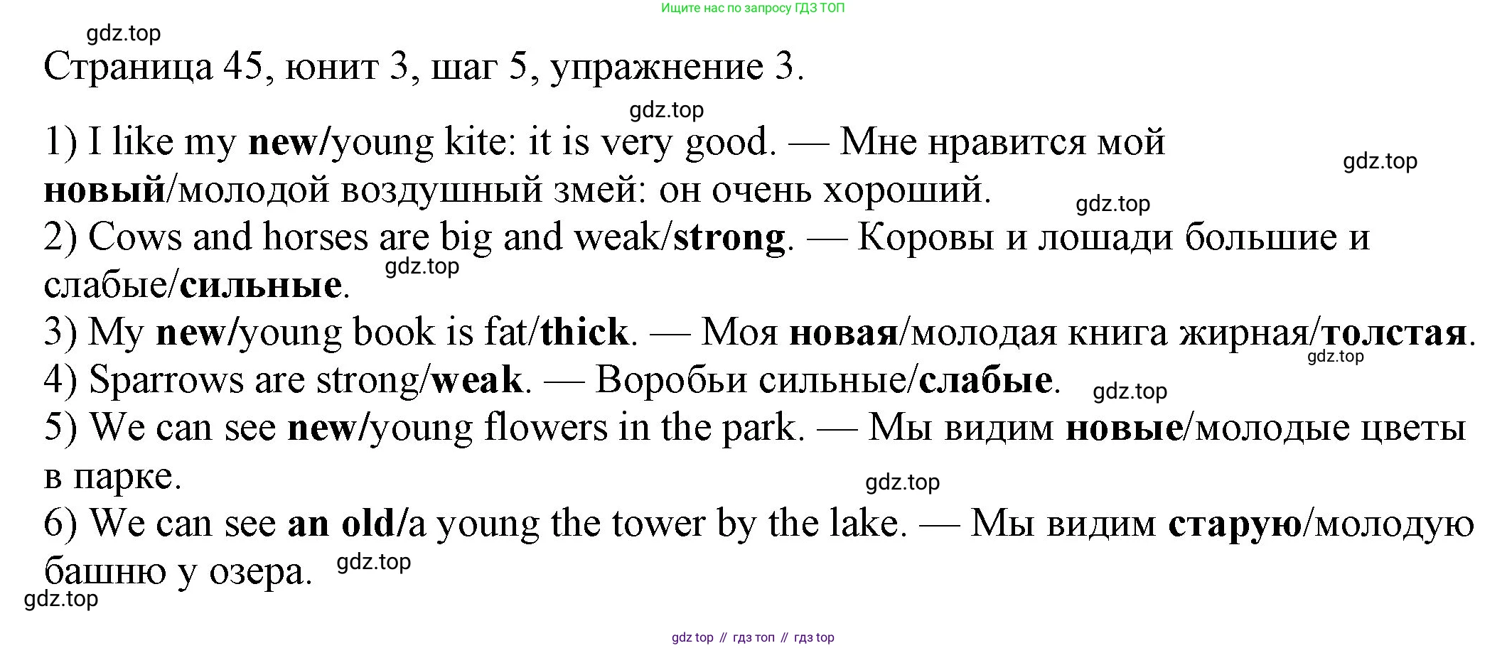 ГДЗ Английский язык (english), 3 класс рабочая тетрадь, авторы: Афанасьева Ольга Васильевна (Afanasyeva Olga), Михеева Ирина Владимировна (Mikheeva Irina), издательство Дрофа, Москва, 2016 - 2022, зелёного цвета, страница 45, номер 3, Решение