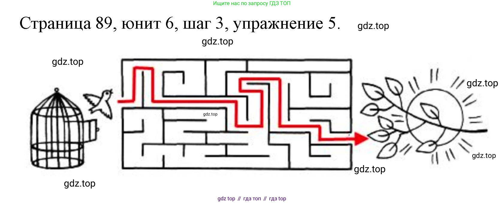 ГДЗ Английский язык (english), 3 класс рабочая тетрадь, авторы: Афанасьева Ольга Васильевна (Afanasyeva Olga), Михеева Ирина Владимировна (Mikheeva Irina), издательство Дрофа, Москва, 2016 - 2022, зелёного цвета, страница 89, номер 5, Решение