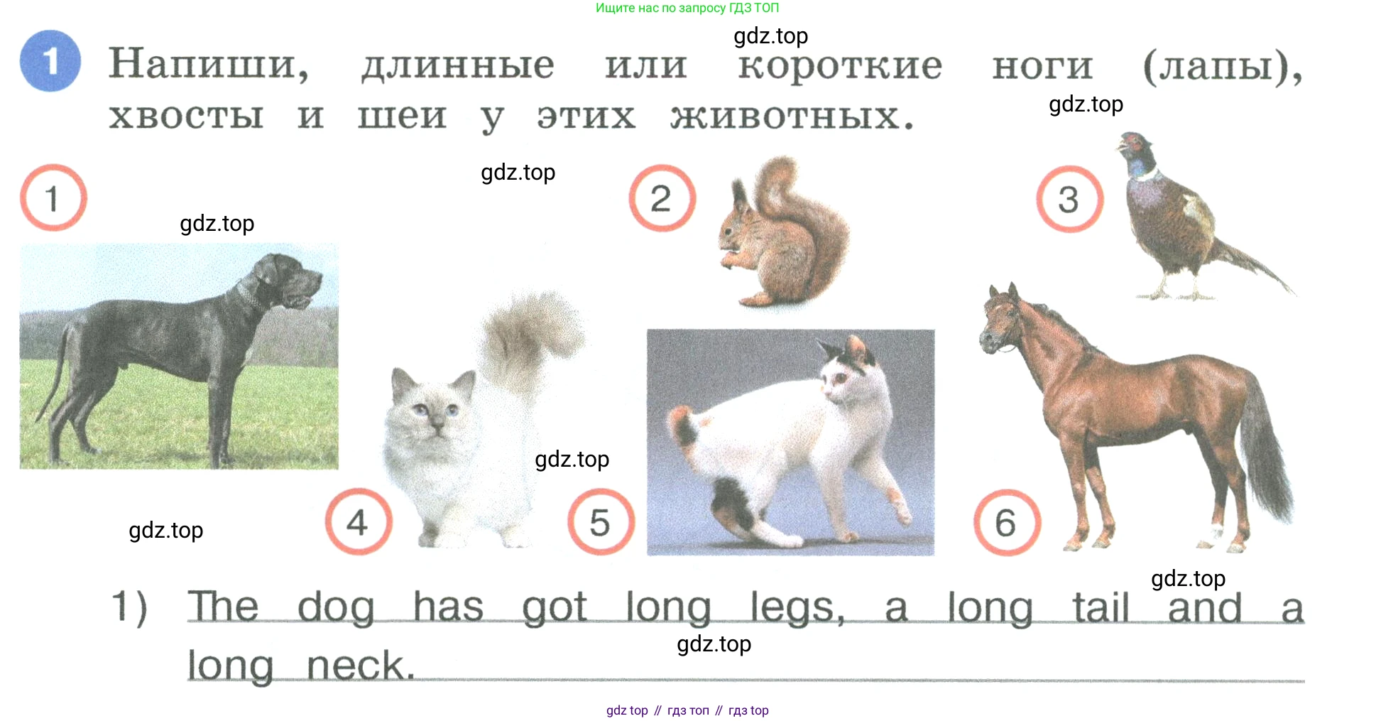 Английский язык (english), 3 класс рабочая тетрадь, авторы: Афанасьева Ольга Васильевна (Afanasyeva Olga), Баранова Ксения Михайловна (Baranova Ksenia), Михеева Ирина Владимировна (Mikheeva Irina), издательство Просвещение, Москва, 2023, зелёного цвета, Часть 1, страница 12, номер 1, Условие