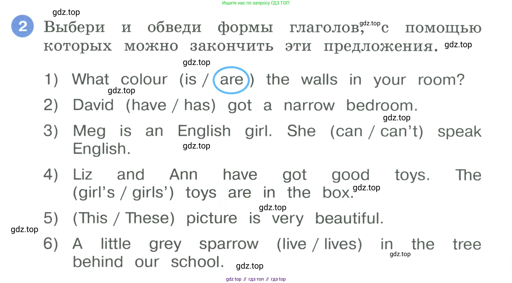 Английский язык (english), 3 класс рабочая тетрадь, авторы: Афанасьева Ольга Васильевна (Afanasyeva Olga), Баранова Ксения Михайловна (Baranova Ksenia), Михеева Ирина Владимировна (Mikheeva Irina), издательство Просвещение, Москва, 2023, зелёного цвета, Часть 1, страница 24, номер 2, Условие