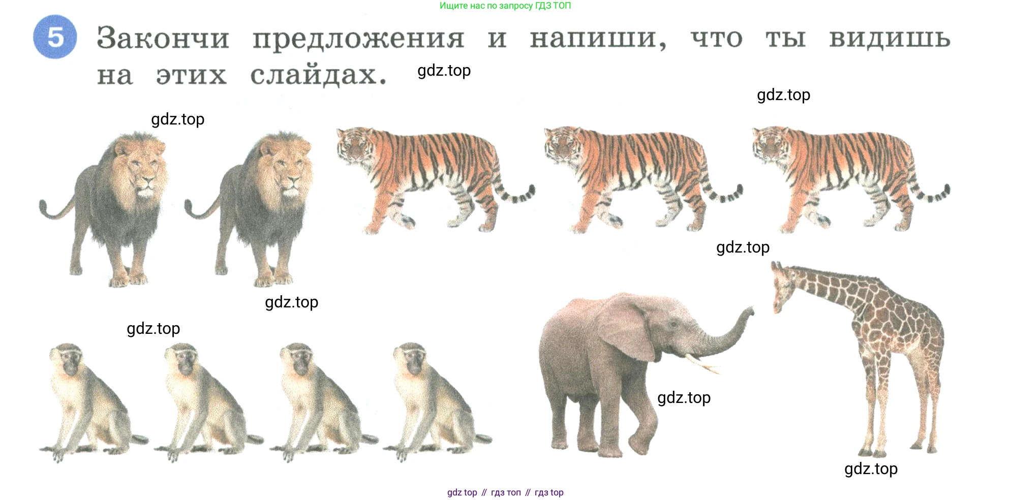 Английский язык (english), 3 класс рабочая тетрадь, авторы: Афанасьева Ольга Васильевна (Afanasyeva Olga), Баранова Ксения Михайловна (Baranova Ksenia), Михеева Ирина Владимировна (Mikheeva Irina), издательство Просвещение, Москва, 2023, зелёного цвета, Часть 1, страница 58, номер 5, Условие