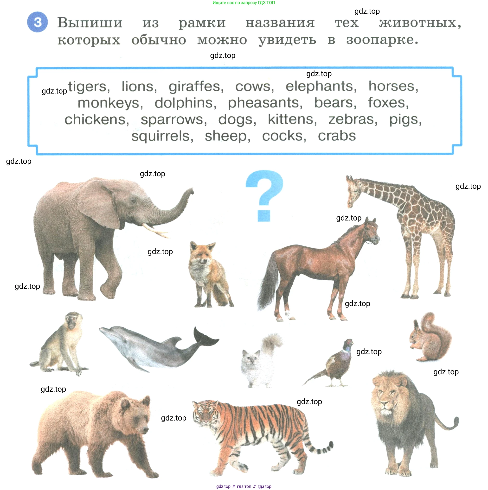 Английский язык (english), 3 класс рабочая тетрадь, авторы: Афанасьева Ольга Васильевна (Afanasyeva Olga), Баранова Ксения Михайловна (Baranova Ksenia), Михеева Ирина Владимировна (Mikheeva Irina), издательство Просвещение, Москва, 2023, зелёного цвета, Часть 1, страница 60, номер 3, Условие
