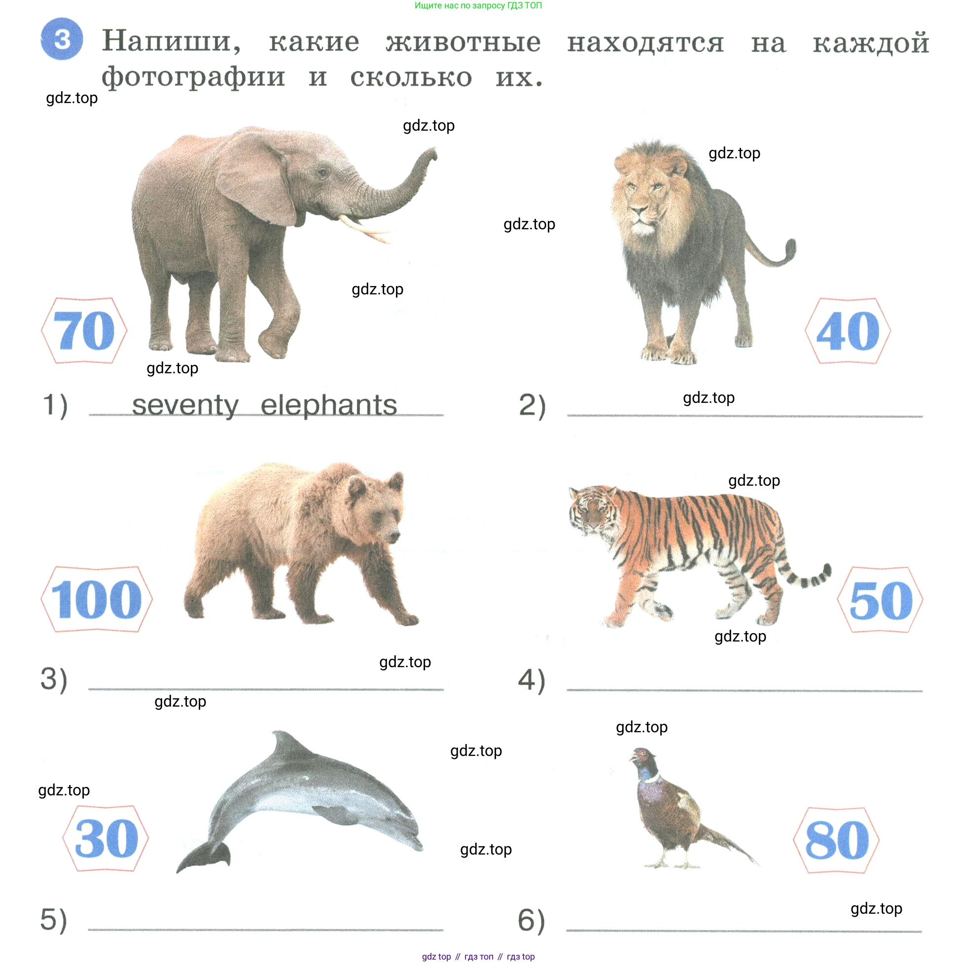 Английский язык (english), 3 класс рабочая тетрадь, авторы: Афанасьева Ольга Васильевна (Afanasyeva Olga), Баранова Ксения Михайловна (Baranova Ksenia), Михеева Ирина Владимировна (Mikheeva Irina), издательство Просвещение, Москва, 2023, зелёного цвета, Часть 2, страница 28, номер 3, Условие