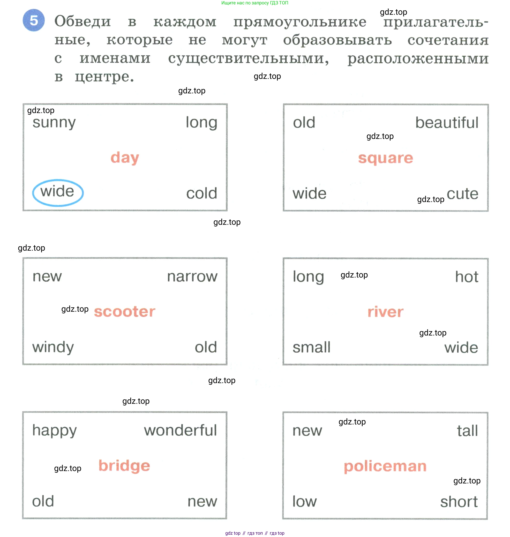 Английский язык (english), 3 класс рабочая тетрадь, авторы: Афанасьева Ольга Васильевна (Afanasyeva Olga), Баранова Ксения Михайловна (Baranova Ksenia), Михеева Ирина Владимировна (Mikheeva Irina), издательство Просвещение, Москва, 2023, зелёного цвета, Часть 2, страница 29, номер 5, Условие