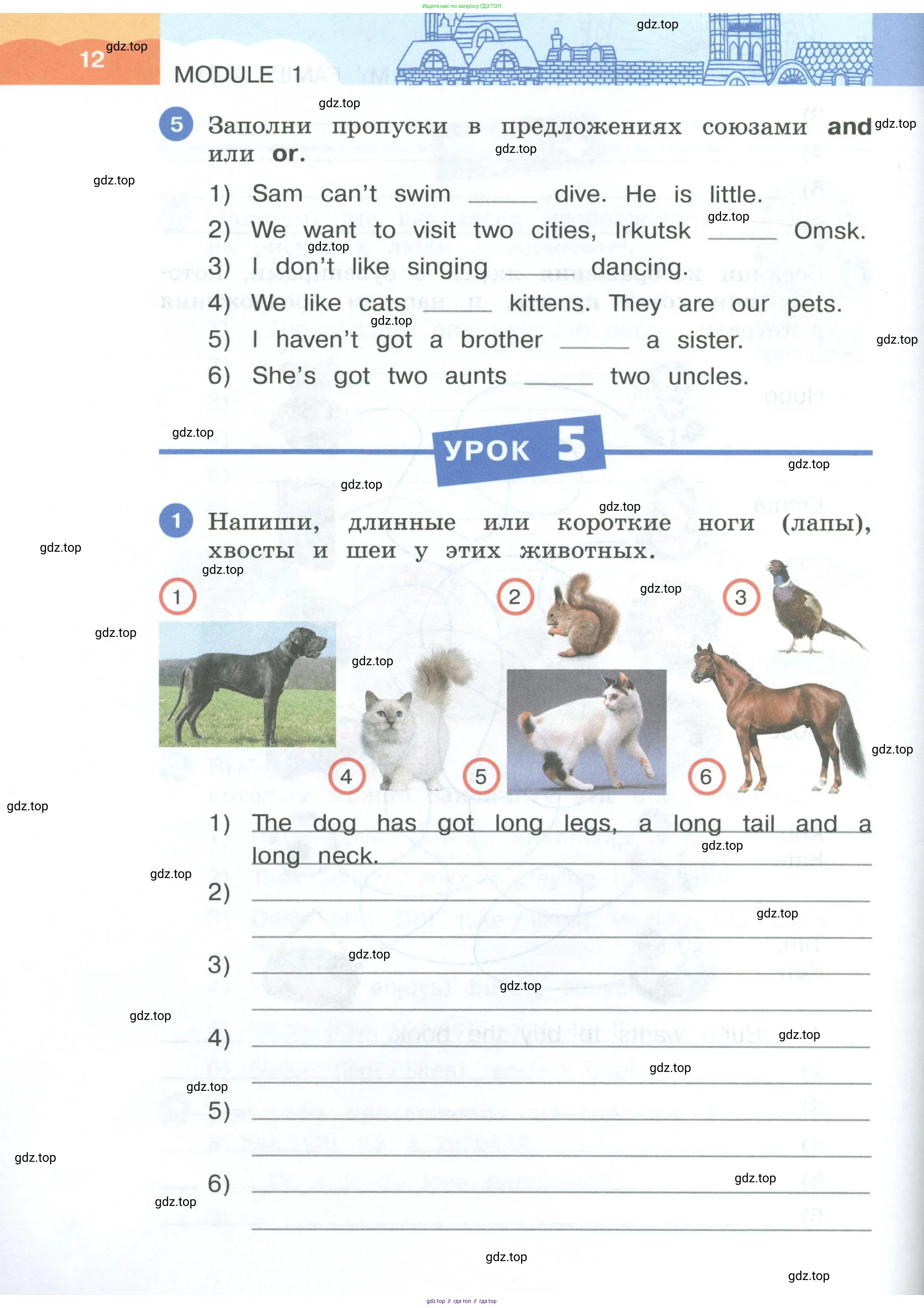 Английский язык (english), 3 класс рабочая тетрадь, авторы: Афанасьева Ольга Васильевна (Afanasyeva Olga), Баранова Ксения Михайловна (Baranova Ksenia), Михеева Ирина Владимировна (Mikheeva Irina), издательство Просвещение, Москва, 2023, зелёного цвета, Часть 1, страница 12