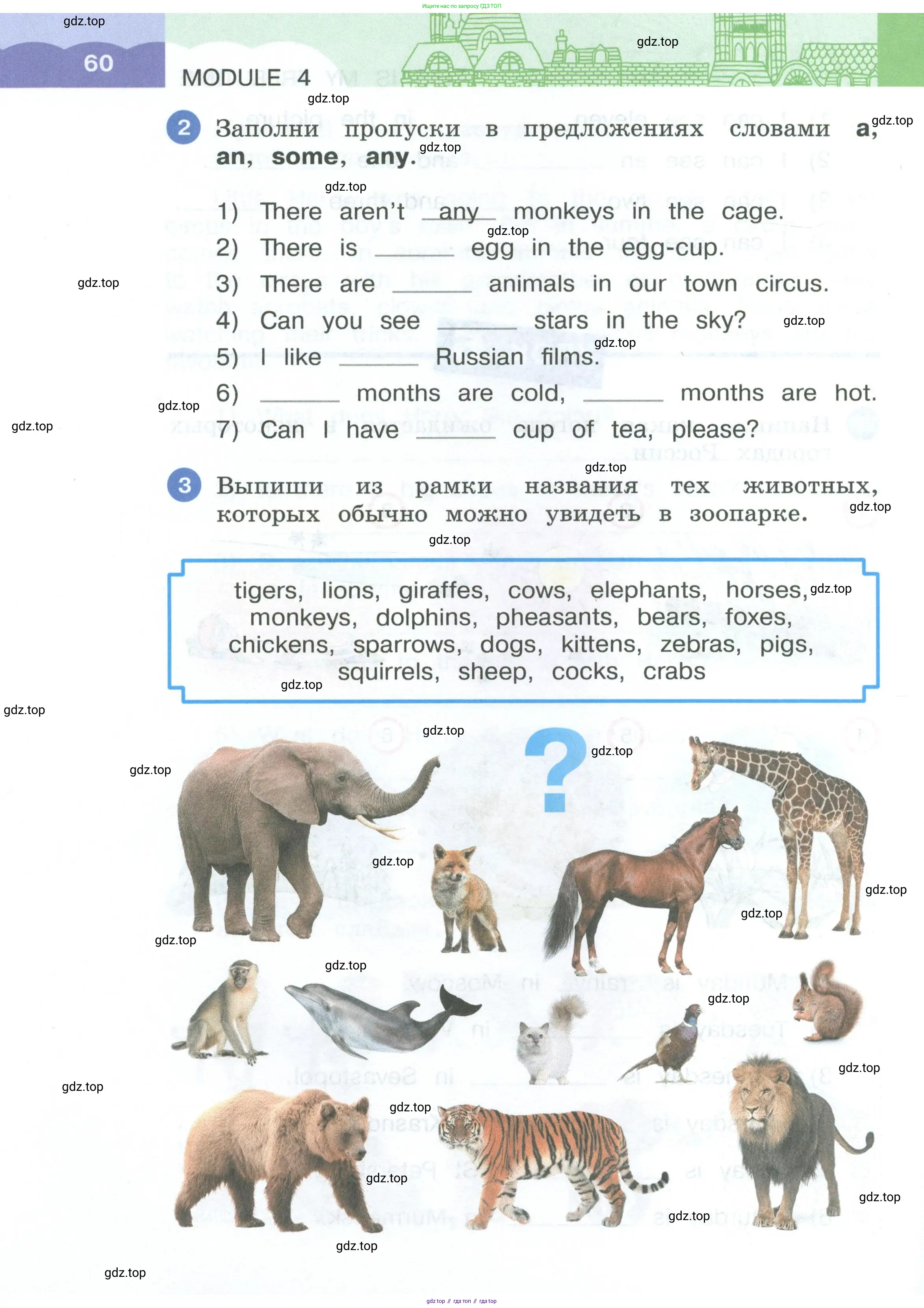 Английский язык (english), 3 класс рабочая тетрадь, авторы: Афанасьева Ольга Васильевна (Afanasyeva Olga), Баранова Ксения Михайловна (Baranova Ksenia), Михеева Ирина Владимировна (Mikheeva Irina), издательство Просвещение, Москва, 2023, зелёного цвета, Часть 1, страница 60