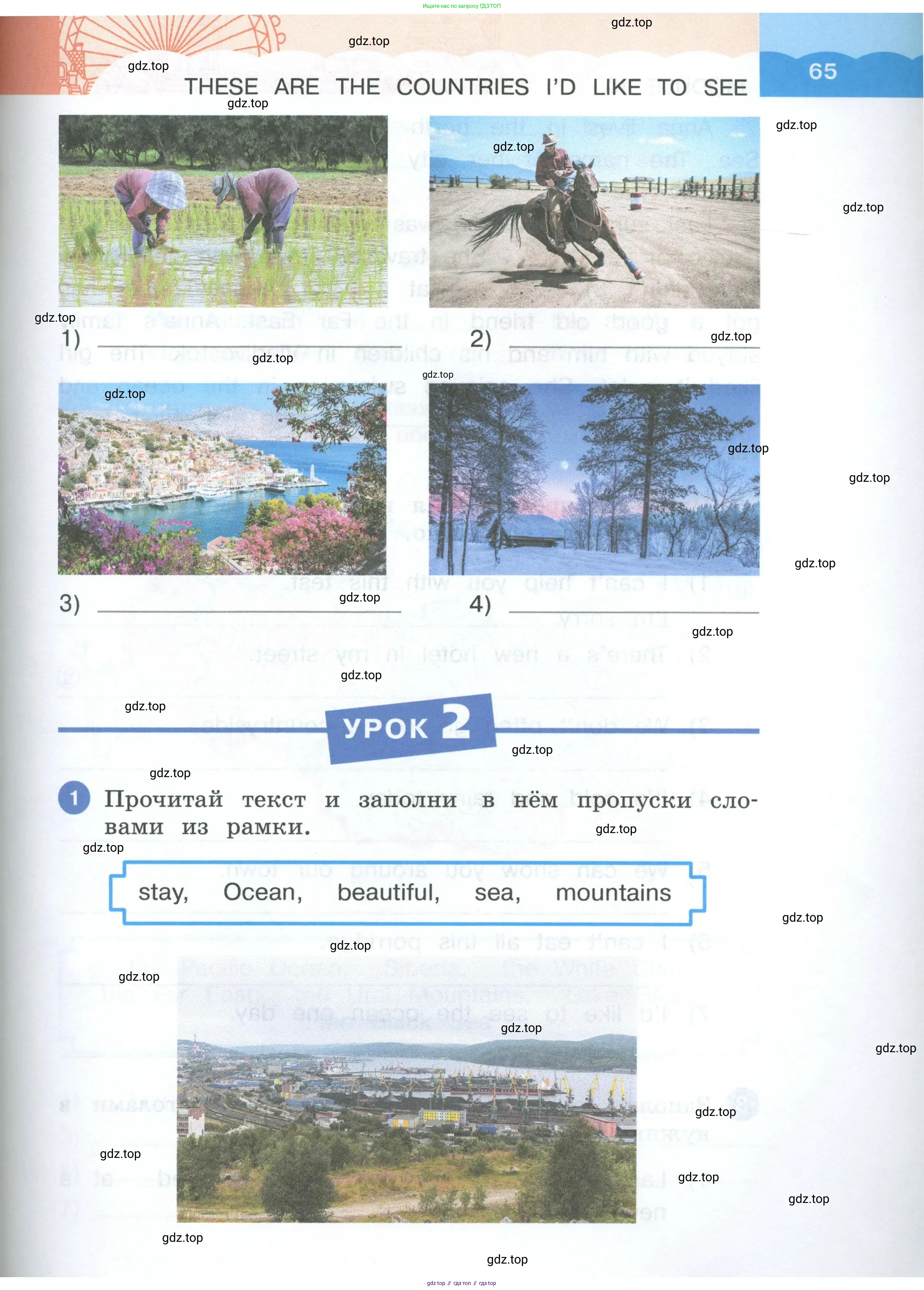 Английский язык (english), 3 класс рабочая тетрадь, авторы: Афанасьева Ольга Васильевна (Afanasyeva Olga), Баранова Ксения Михайловна (Baranova Ksenia), Михеева Ирина Владимировна (Mikheeva Irina), издательство Просвещение, Москва, 2023, зелёного цвета, Часть 1, страница 65