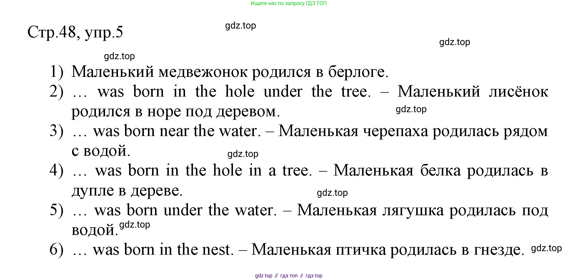 Английский язык (english), 3 класс рабочая тетрадь, авторы: Афанасьева Ольга Васильевна (Afanasyeva Olga), Баранова Ксения Михайловна (Baranova Ksenia), Михеева Ирина Владимировна (Mikheeva Irina), издательство Просвещение, Москва, 2023, зелёного цвета, Часть 2, страница 48, номер 5, Решение