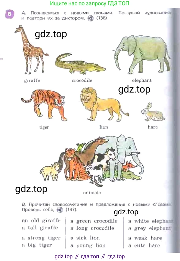 ГДЗ Английский язык (english), 3 класс Учебник, авторы: Афанасьева Ольга Васильевна (Afanasyeva Olga), Михеева Ирина Владимировна (Mikheeva Irina), издательство Дрофа, Москва, 2014 - 2022, зелёного цвета, Часть 2, страница 40, номер 6, Условие
