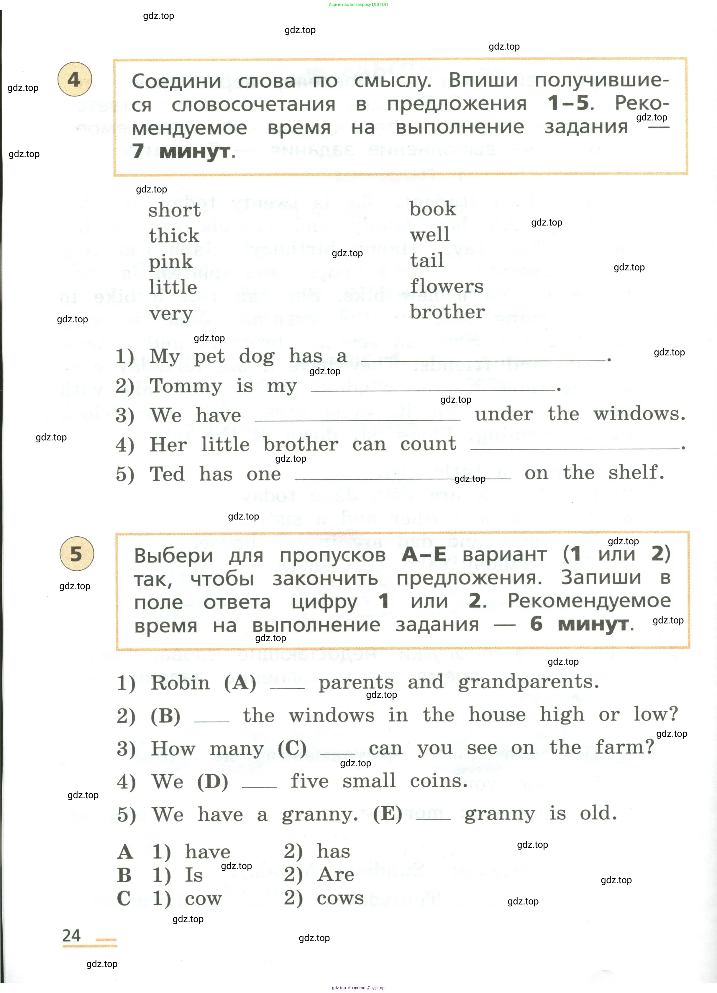 Английский язык (english), 3 класс Подготовка к всероссийским проверочным работам (впр), авторы: Афанасьева Ольга Васильевна (Afanasyeva Olga), Михеева Ирина Владимировна (Mikheeva Irina), Баранова Ксения Михайловна (Baranova Ksenia), Сьянов Александр Валерьевич, издательство Дрофа, Москва, 2019, белого цвета, страница 24