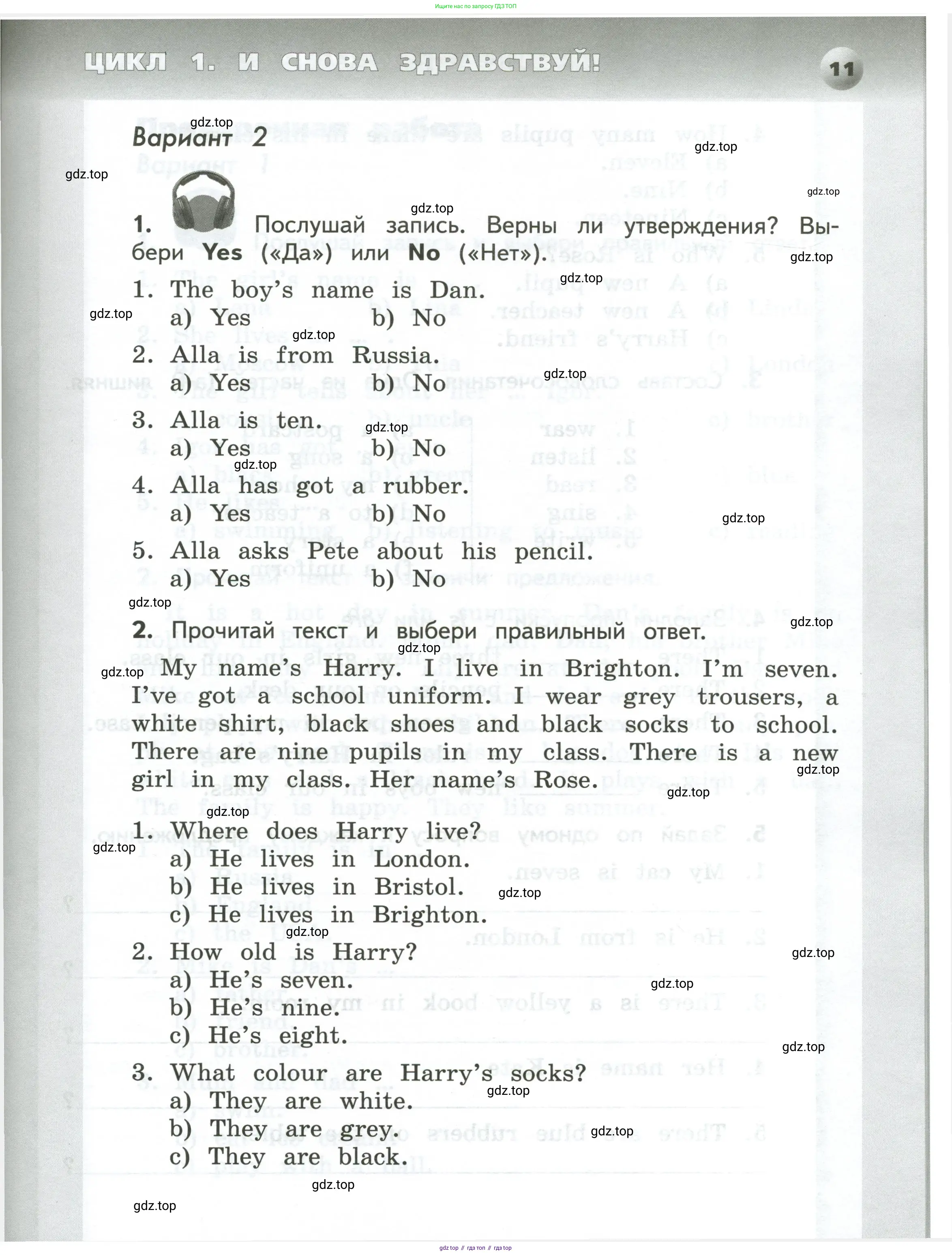 Английский язык (english), 3 класс Тетрадь-экзаменатор, автор: Смирнов Алексей Валерьевич, издательство Просвещение, Москва, 2021, красного цвета, страница 11