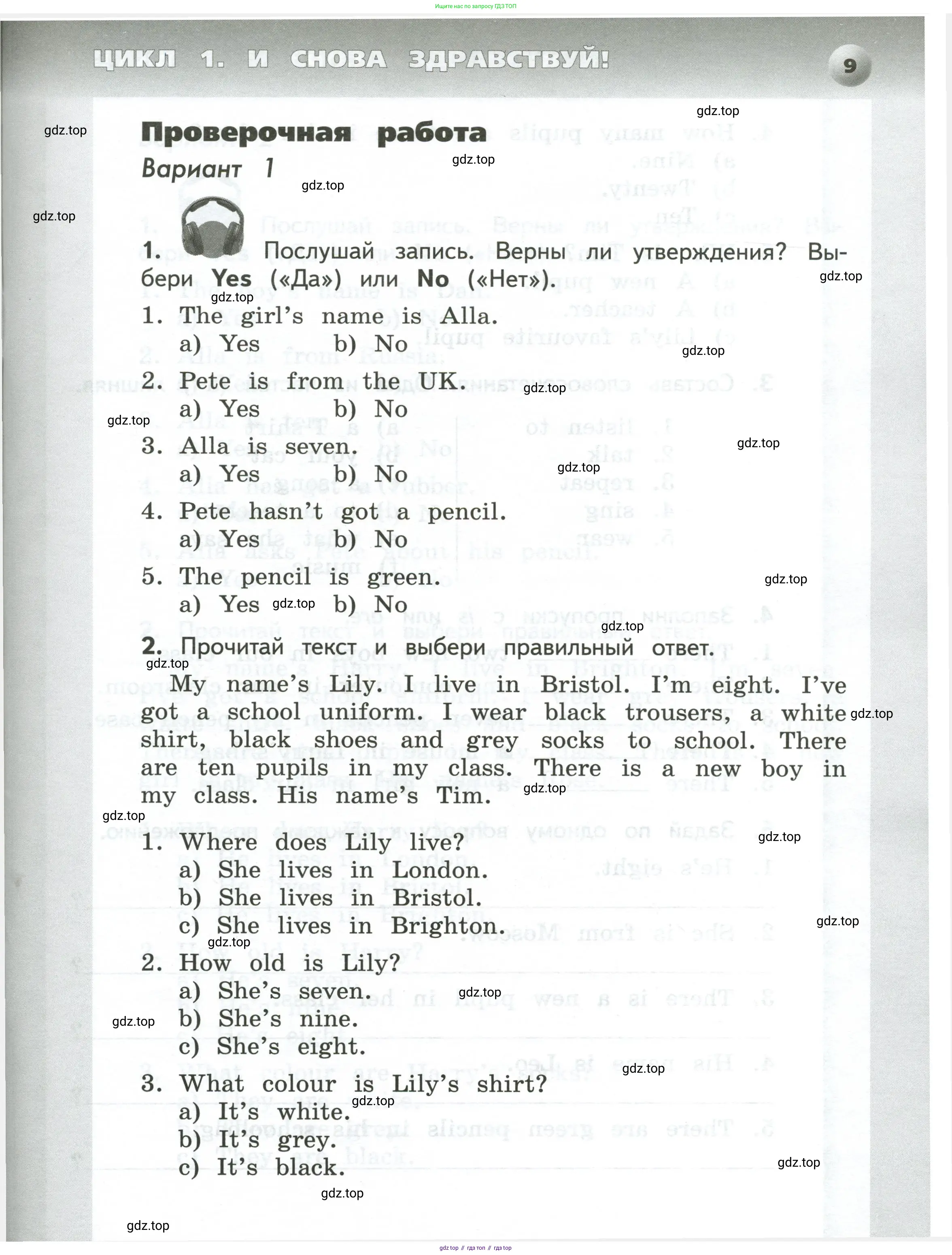 Английский язык (english), 3 класс Тетрадь-экзаменатор, автор: Смирнов Алексей Валерьевич, издательство Просвещение, Москва, 2021, красного цвета, страница 9