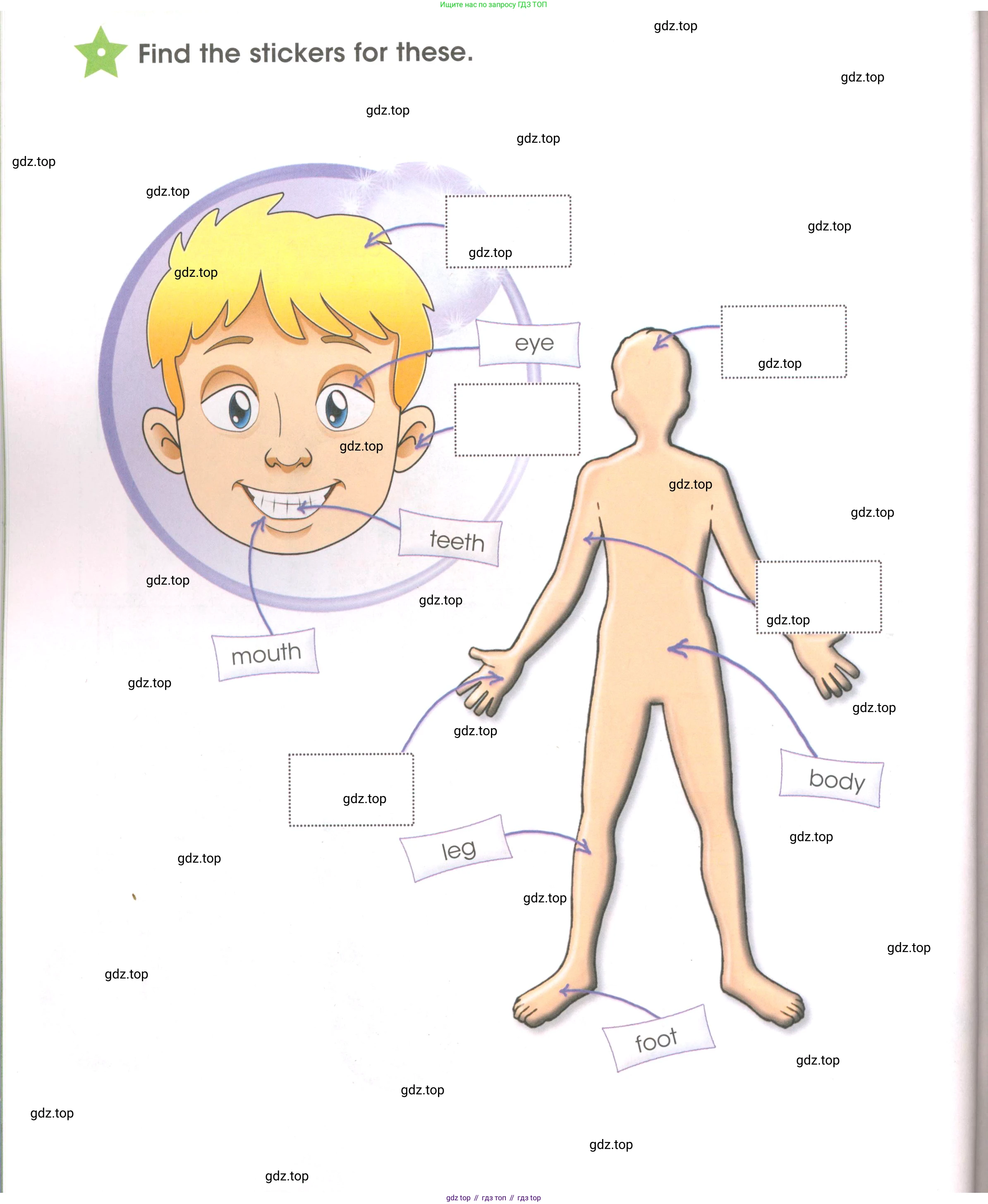 Английский язык (english), 3 класс Рабочая тетрадь (workbook), авторы: Баранова Ксения Михайловна (Baranova Ksenia), Дули Дженни (Dooley Jenny), Копылова Виктория Викторовна (Kopylova Victoria), Мильруд Радислав Петрович (Millrood Radislav), Эванс Вирджиния (Evans Virginia), издательство Просвещение, Москва, 2023, белого цвета, Часть ( Part) 1, страница 66, Условие