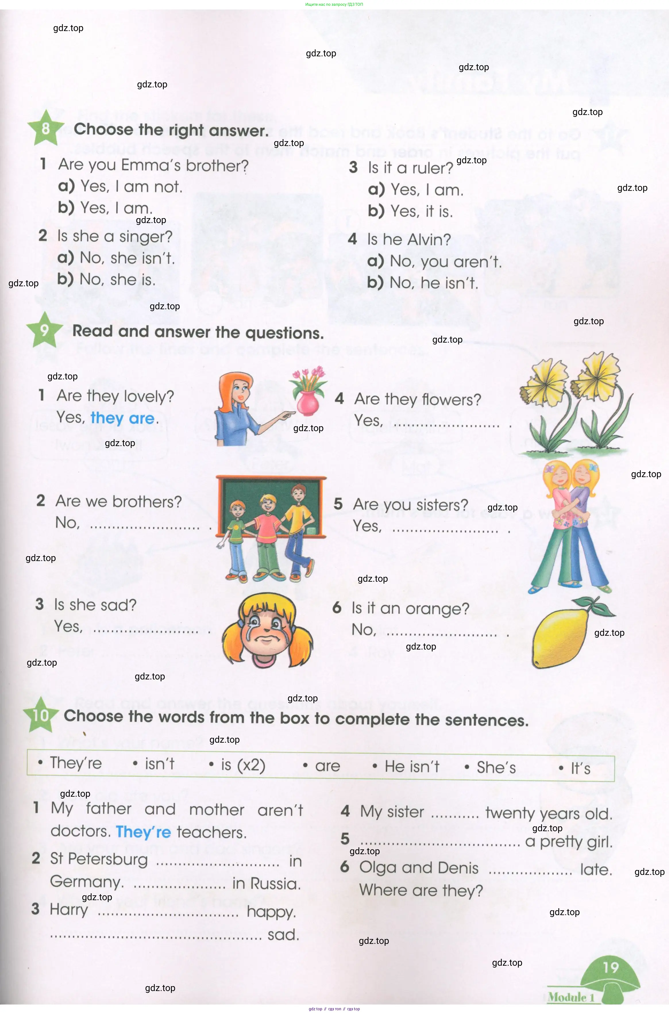 Английский язык (english), 3 класс Рабочая тетрадь (workbook), авторы: Баранова Ксения Михайловна (Baranova Ksenia), Дули Дженни (Dooley Jenny), Копылова Виктория Викторовна (Kopylova Victoria), Мильруд Радислав Петрович (Millrood Radislav), Эванс Вирджиния (Evans Virginia), издательство Просвещение, Москва, 2023, белого цвета, Часть ( Part) 1, страница 19