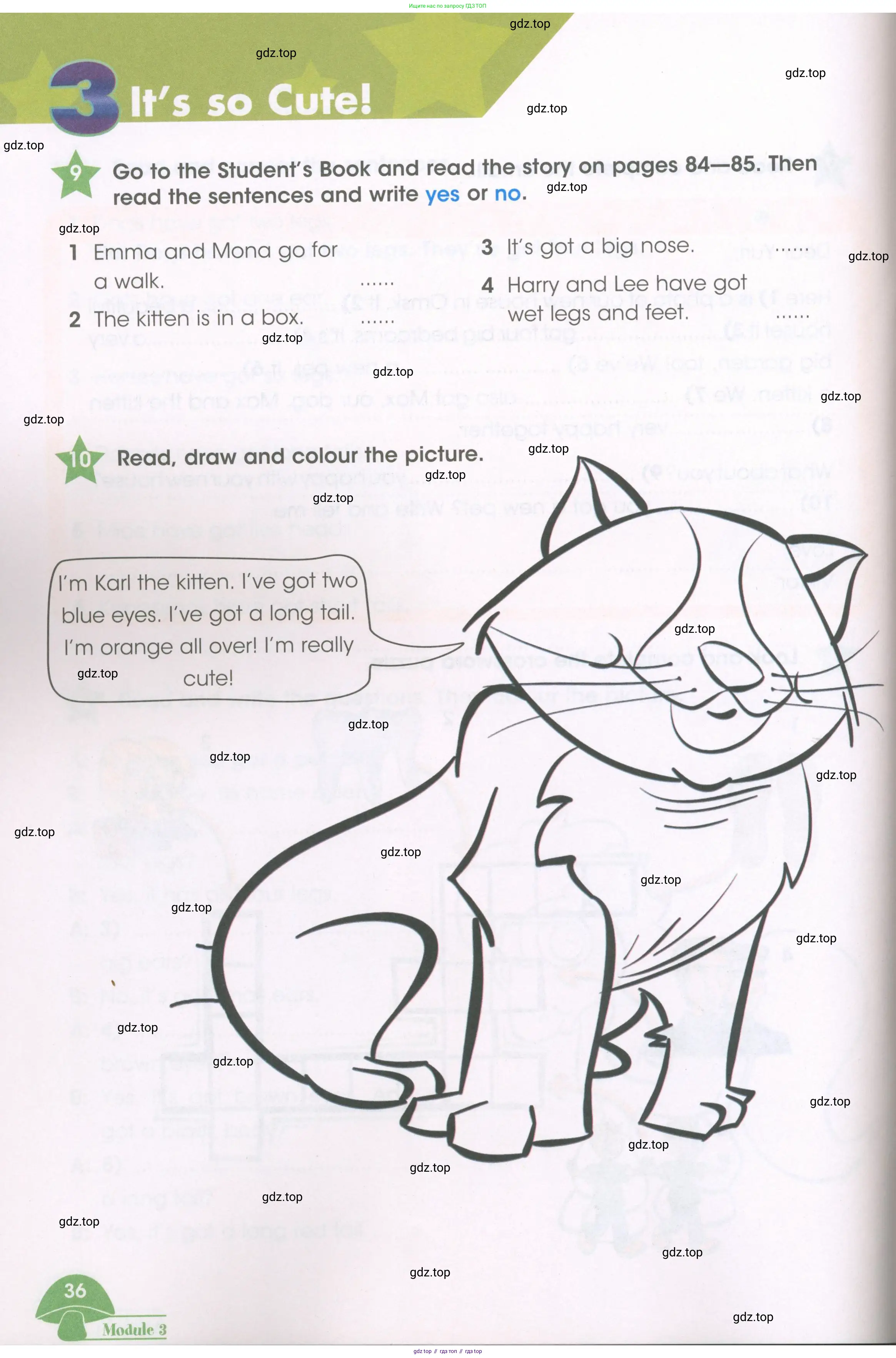 Английский язык (english), 3 класс Рабочая тетрадь (workbook), авторы: Баранова Ксения Михайловна (Baranova Ksenia), Дули Дженни (Dooley Jenny), Копылова Виктория Викторовна (Kopylova Victoria), Мильруд Радислав Петрович (Millrood Radislav), Эванс Вирджиния (Evans Virginia), издательство Просвещение, Москва, 2023, белого цвета, Часть ( Part) 1, страница 36