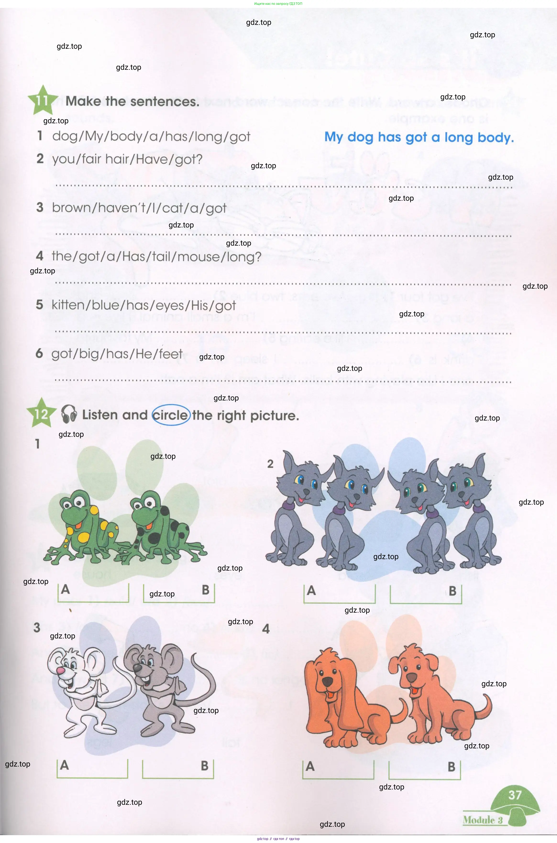 Английский язык (english), 3 класс Рабочая тетрадь (workbook), авторы: Баранова Ксения Михайловна (Baranova Ksenia), Дули Дженни (Dooley Jenny), Копылова Виктория Викторовна (Kopylova Victoria), Мильруд Радислав Петрович (Millrood Radislav), Эванс Вирджиния (Evans Virginia), издательство Просвещение, Москва, 2023, белого цвета, Часть ( Part) 1, страница 37