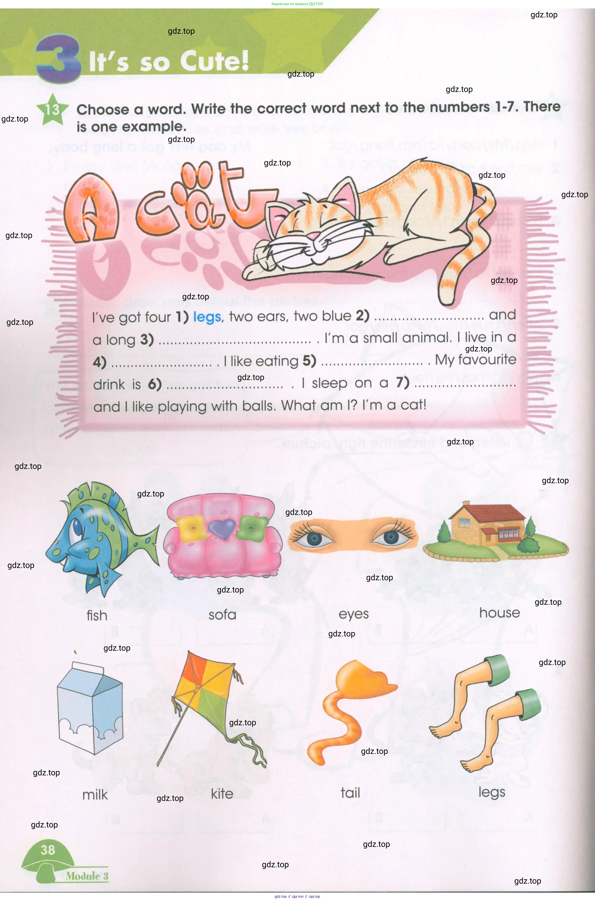 Английский язык (english), 3 класс Рабочая тетрадь (workbook), авторы: Баранова Ксения Михайловна (Baranova Ksenia), Дули Дженни (Dooley Jenny), Копылова Виктория Викторовна (Kopylova Victoria), Мильруд Радислав Петрович (Millrood Radislav), Эванс Вирджиния (Evans Virginia), издательство Просвещение, Москва, 2023, белого цвета, Часть ( Part) 1, страница 38