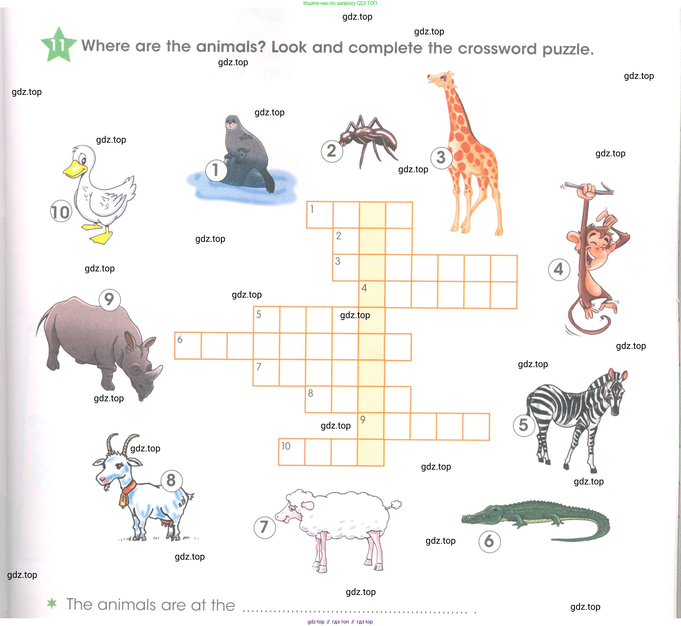 Английский язык (english), 3 класс Рабочая тетрадь (workbook), авторы: Баранова Ксения Михайловна (Baranova Ksenia), Дули Дженни (Dooley Jenny), Копылова Виктория Викторовна (Kopylova Victoria), Мильруд Радислав Петрович (Millrood Radislav), Эванс Вирджиния (Evans Virginia), издательство Просвещение, Москва, 2023, белого цвета, Часть ( Part) 2, страница 33, номер 11, Условие