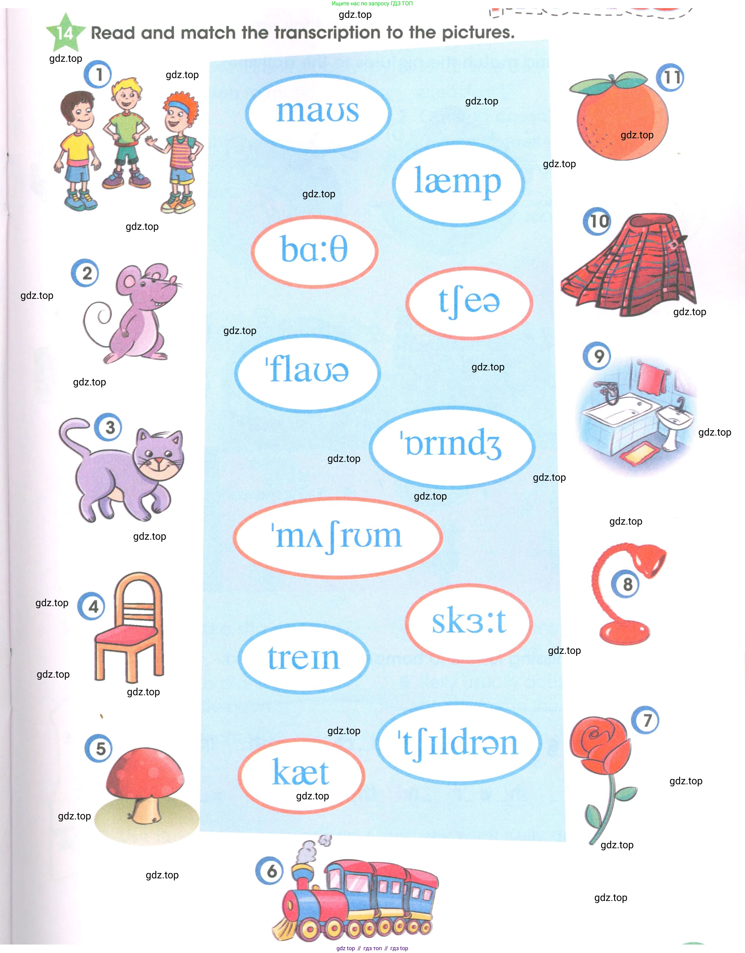 Английский язык (english), 3 класс Рабочая тетрадь (workbook), авторы: Баранова Ксения Михайловна (Baranova Ksenia), Дули Дженни (Dooley Jenny), Копылова Виктория Викторовна (Kopylova Victoria), Мильруд Радислав Петрович (Millrood Radislav), Эванс Вирджиния (Evans Virginia), издательство Просвещение, Москва, 2023, белого цвета, Часть ( Part) 2, страница 43, номер 14, Условие