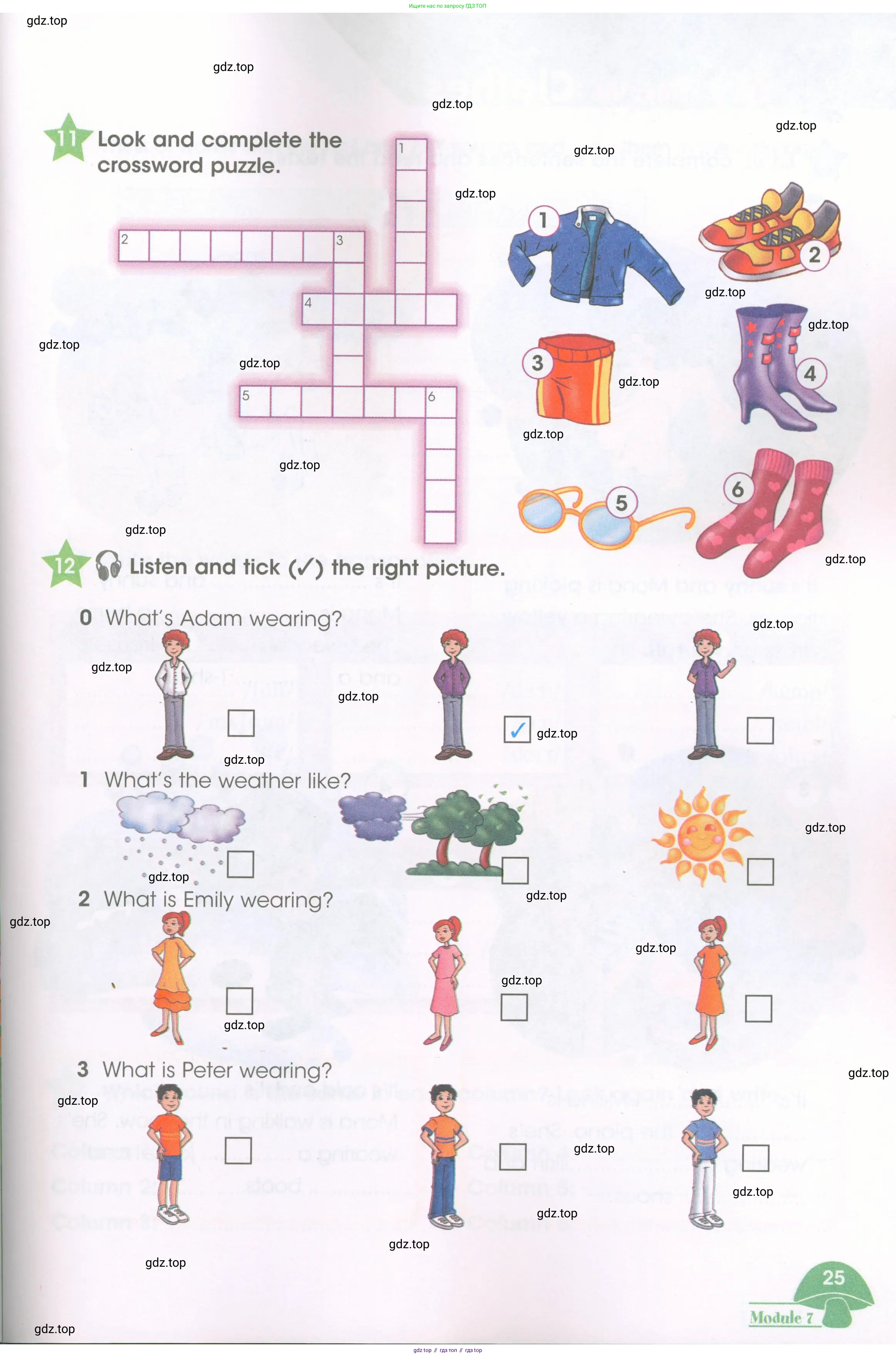 Английский язык (english), 3 класс Рабочая тетрадь (workbook), авторы: Баранова Ксения Михайловна (Baranova Ksenia), Дули Дженни (Dooley Jenny), Копылова Виктория Викторовна (Kopylova Victoria), Мильруд Радислав Петрович (Millrood Radislav), Эванс Вирджиния (Evans Virginia), издательство Просвещение, Москва, 2023, белого цвета, Часть ( Part) 1, страница 25