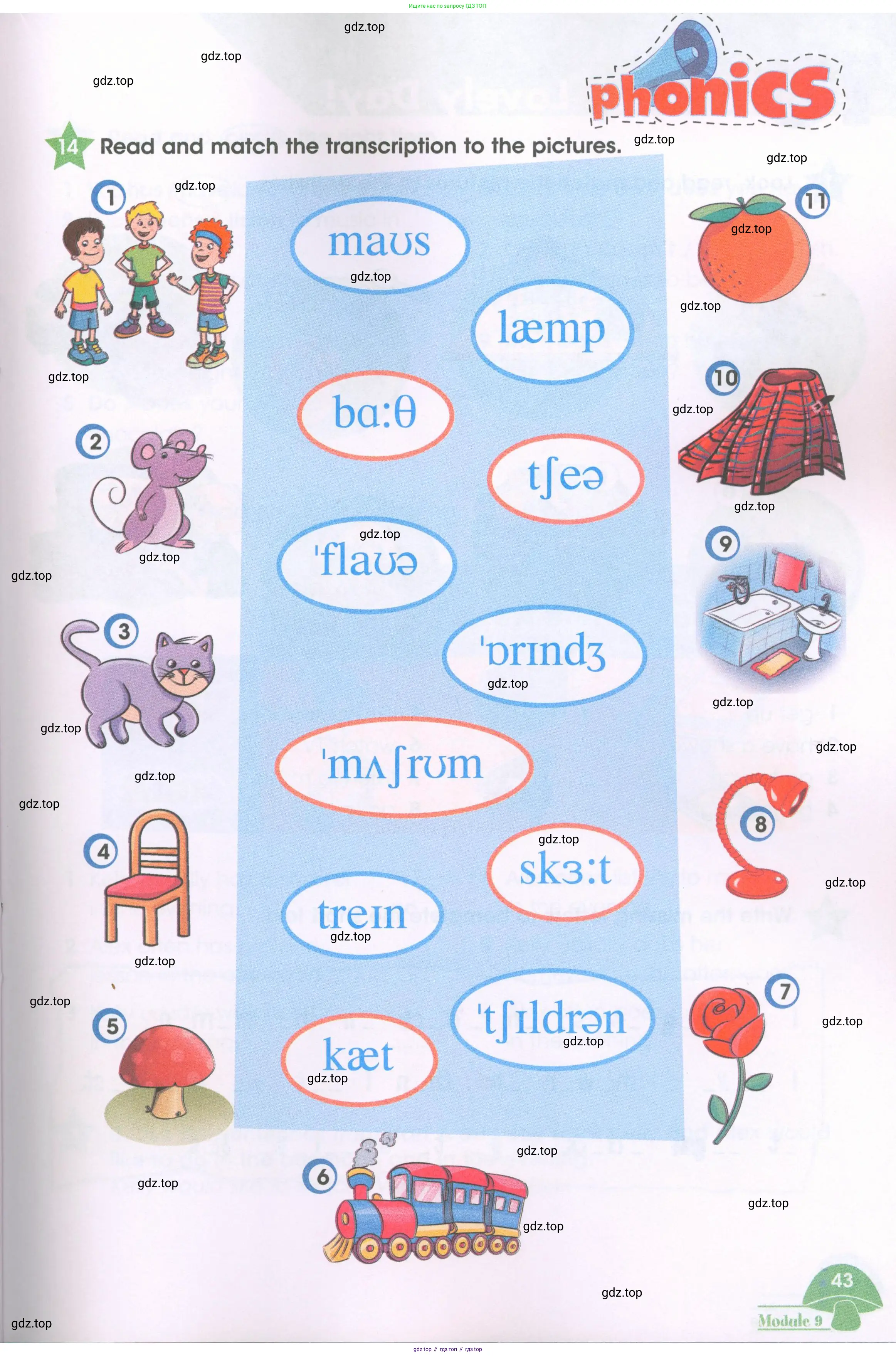 Английский язык (english), 3 класс Рабочая тетрадь (workbook), авторы: Баранова Ксения Михайловна (Baranova Ksenia), Дули Дженни (Dooley Jenny), Копылова Виктория Викторовна (Kopylova Victoria), Мильруд Радислав Петрович (Millrood Radislav), Эванс Вирджиния (Evans Virginia), издательство Просвещение, Москва, 2023, белого цвета, Часть ( Part) 1, страница 43
