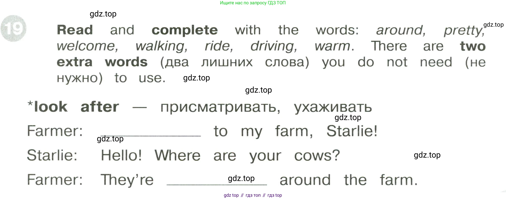 ГДЗ Английский язык (english), 3 класс Сборник упражнений, автор: Котова Марина Петровна, издательство Просвещение, Москва, 2024, белого цвета, страница 23, номер 19, Условие