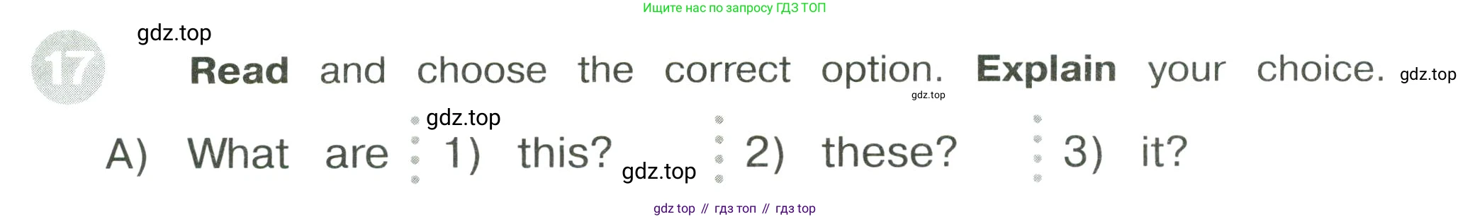 ГДЗ Английский язык (english), 3 класс Сборник упражнений, автор: Котова Марина Петровна, издательство Просвещение, Москва, 2024, белого цвета, страница 32, номер 17, Условие