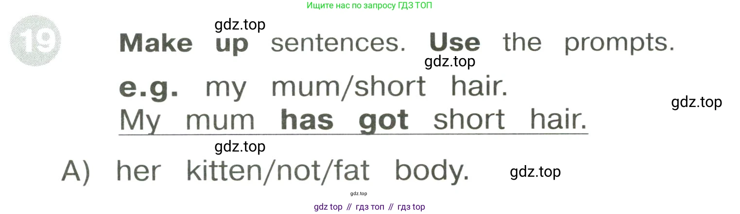 ГДЗ Английский язык (english), 3 класс Сборник упражнений, автор: Котова Марина Петровна, издательство Просвещение, Москва, 2024, белого цвета, страница 42, номер 19, Условие