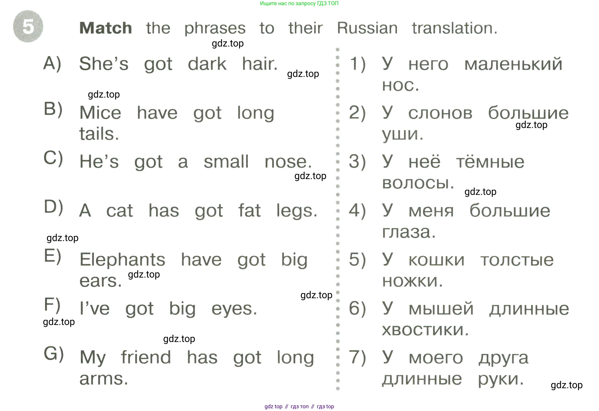 ГДЗ Английский язык (english), 3 класс Сборник упражнений, автор: Котова Марина Петровна, издательство Просвещение, Москва, 2024, белого цвета, страница 37, номер 5, Условие