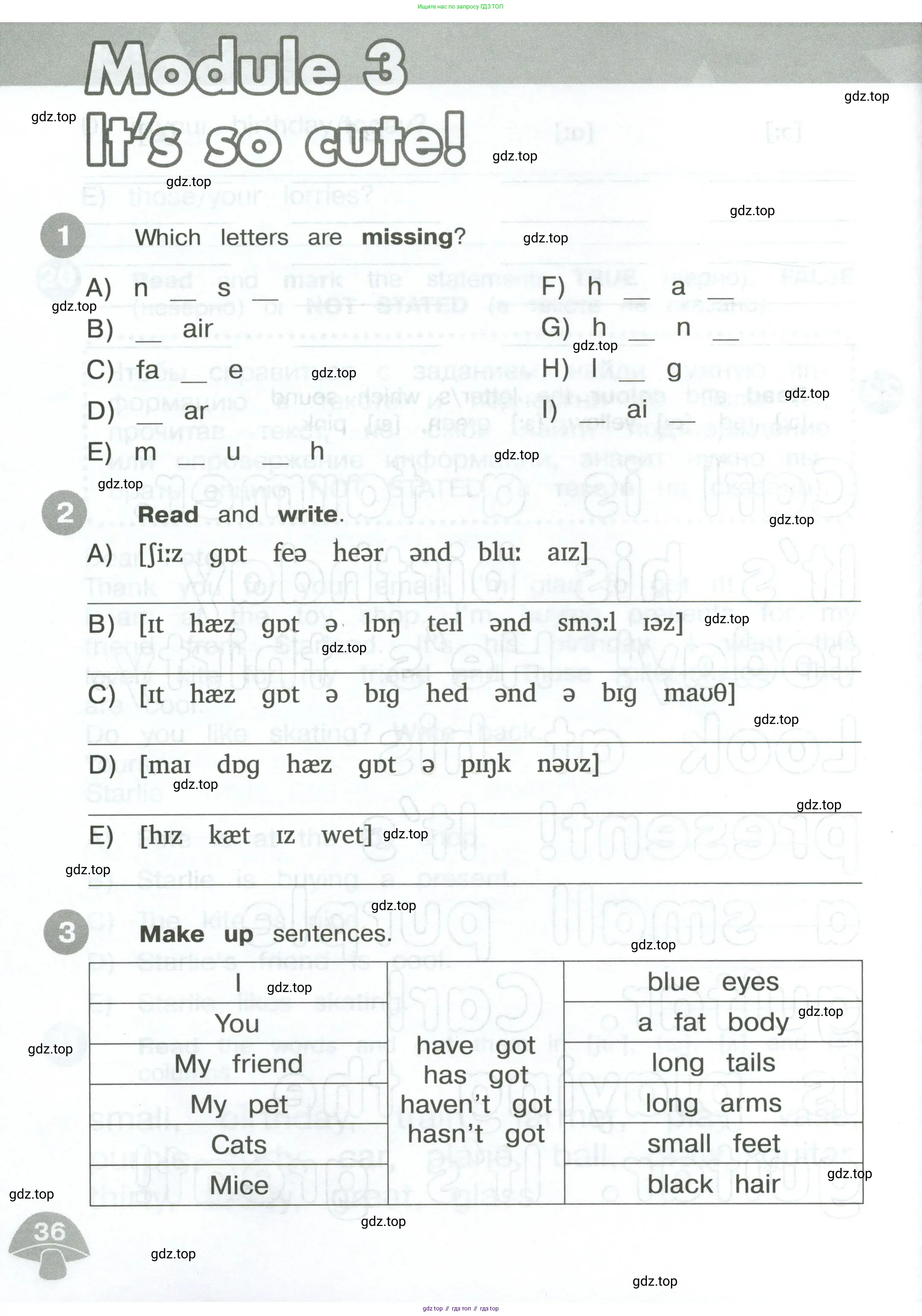 Английский язык (english), 3 класс Сборник упражнений, автор: Котова Марина Петровна, издательство Просвещение, Москва, 2024, белого цвета, страница 36