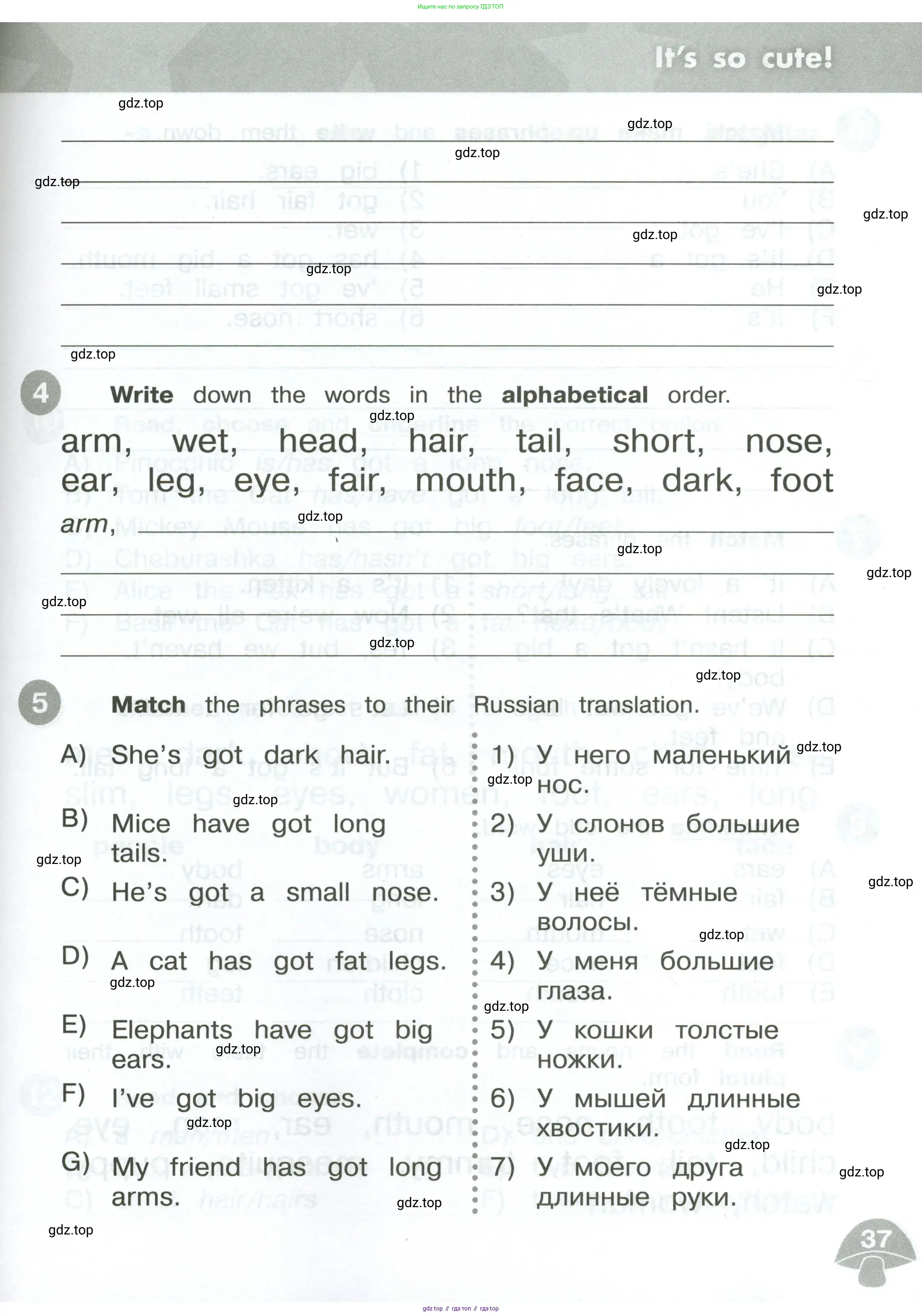 Английский язык (english), 3 класс Сборник упражнений, автор: Котова Марина Петровна, издательство Просвещение, Москва, 2024, белого цвета, страница 37