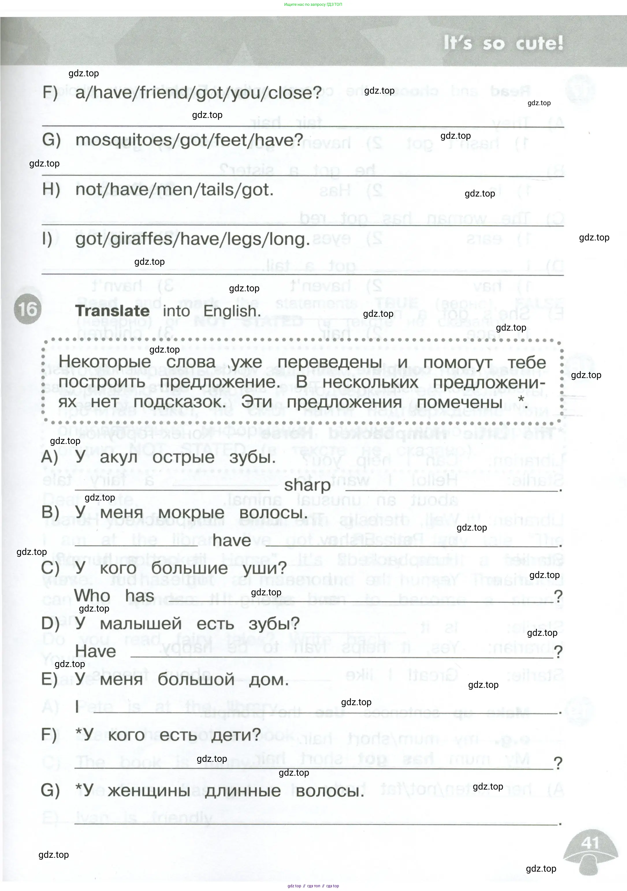 Английский язык (english), 3 класс Сборник упражнений, автор: Котова Марина Петровна, издательство Просвещение, Москва, 2024, белого цвета, страница 41