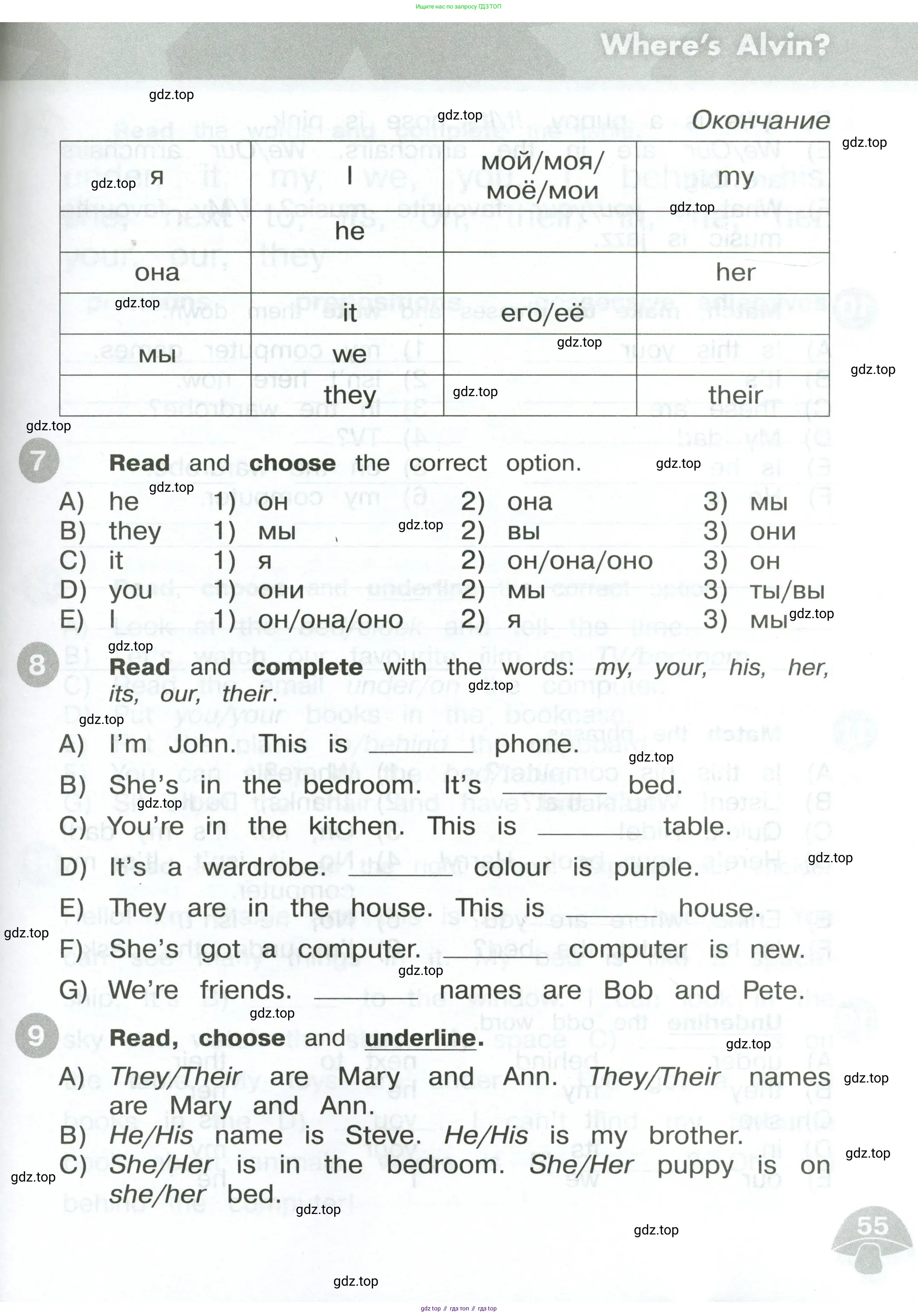 Английский язык (english), 3 класс Сборник упражнений, автор: Котова Марина Петровна, издательство Просвещение, Москва, 2024, белого цвета, страница 55