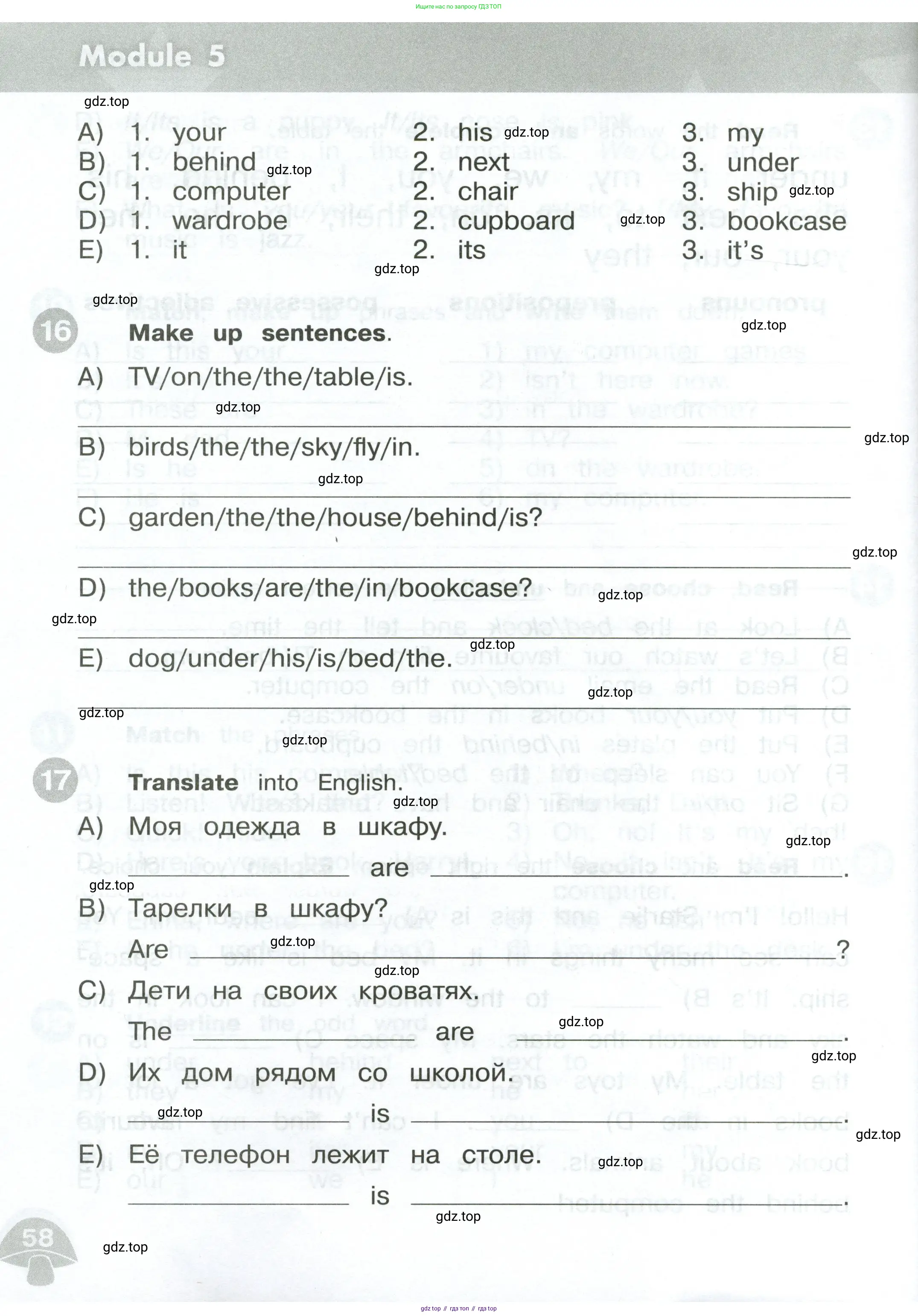 Английский язык (english), 3 класс Сборник упражнений, автор: Котова Марина Петровна, издательство Просвещение, Москва, 2024, белого цвета, страница 58