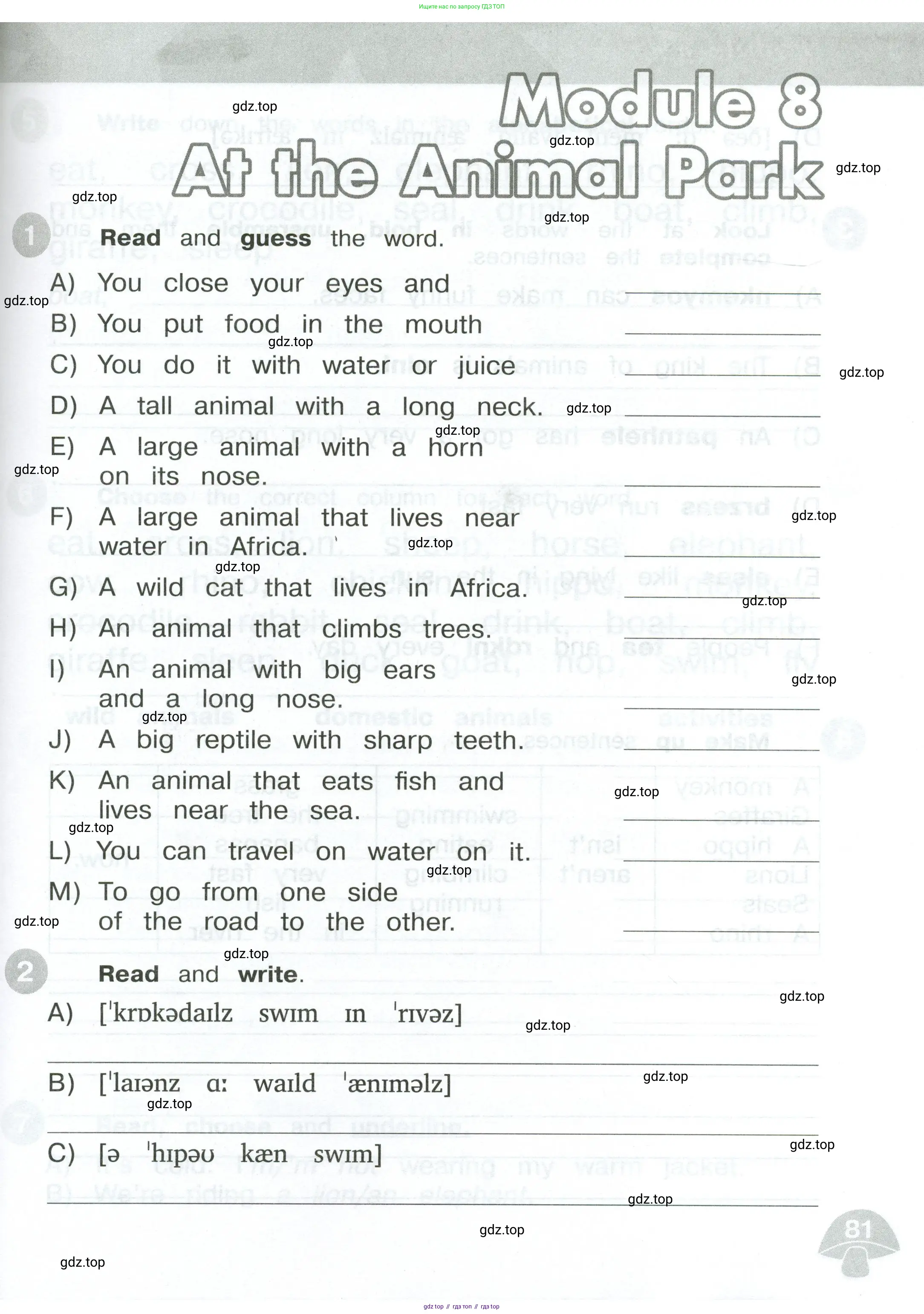 Английский язык (english), 3 класс Сборник упражнений, автор: Котова Марина Петровна, издательство Просвещение, Москва, 2024, белого цвета, страница 81