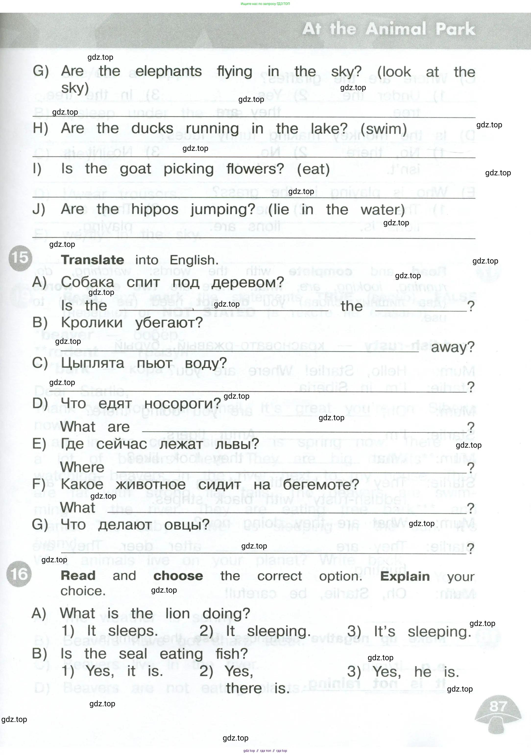 Английский язык (english), 3 класс Сборник упражнений, автор: Котова Марина Петровна, издательство Просвещение, Москва, 2024, белого цвета, страница 87