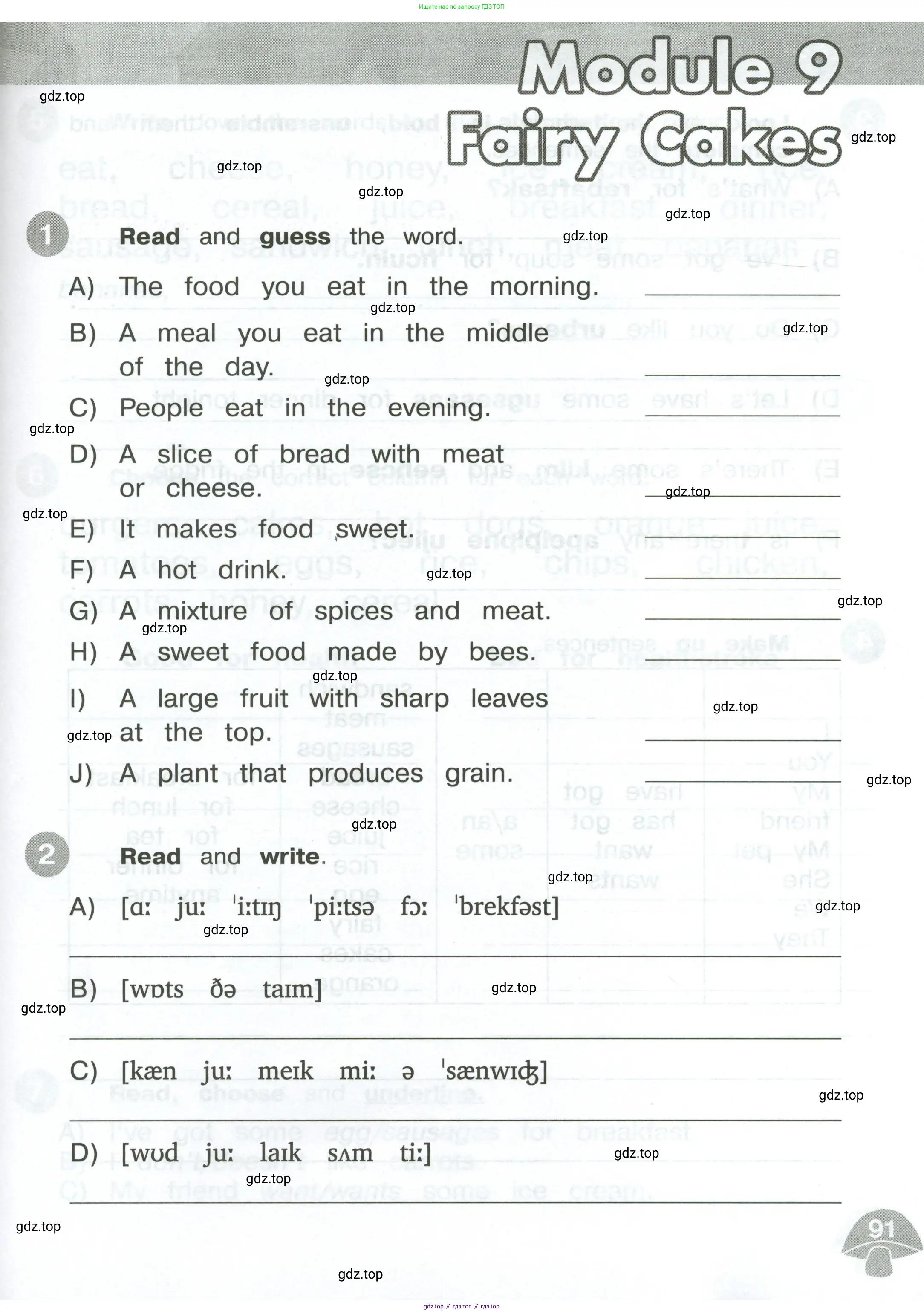 Английский язык (english), 3 класс Сборник упражнений, автор: Котова Марина Петровна, издательство Просвещение, Москва, 2024, белого цвета, страница 91