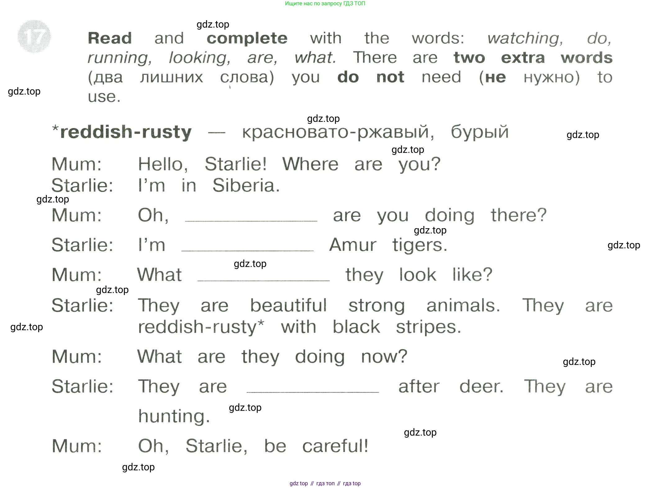 ГДЗ Английский язык (english), 3 класс Сборник упражнений, автор: Котова Марина Петровна, издательство Просвещение, Москва, 2024, белого цвета, страница 88, номер 17, Условие