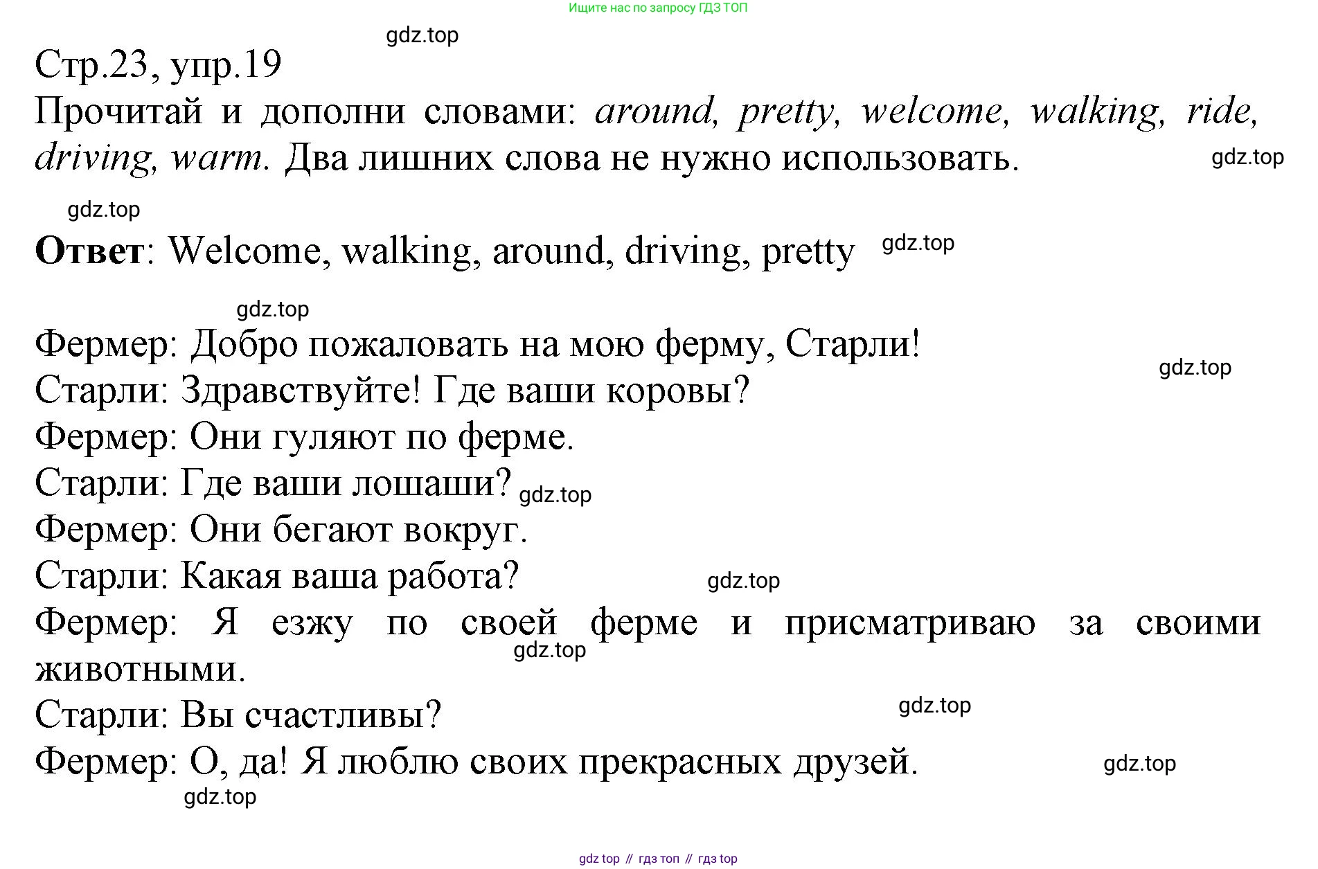 ГДЗ Английский язык (english), 3 класс Сборник упражнений, автор: Котова Марина Петровна, издательство Просвещение, Москва, 2024, белого цвета, страница 23, номер 19, Решение