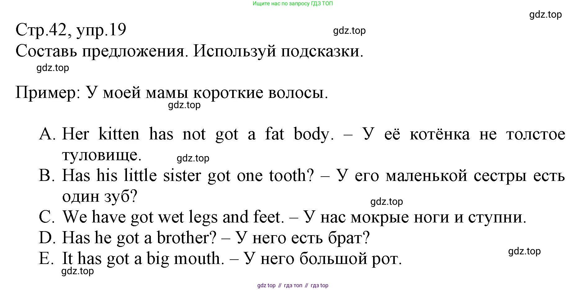 ГДЗ Английский язык (english), 3 класс Сборник упражнений, автор: Котова Марина Петровна, издательство Просвещение, Москва, 2024, белого цвета, страница 42, номер 19, Решение