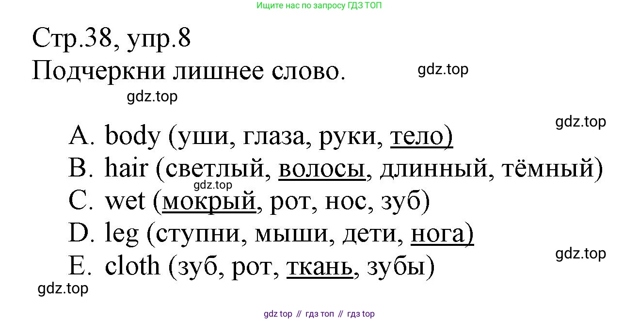 ГДЗ Английский язык (english), 3 класс Сборник упражнений, автор: Котова Марина Петровна, издательство Просвещение, Москва, 2024, белого цвета, страница 38, номер 8, Решение