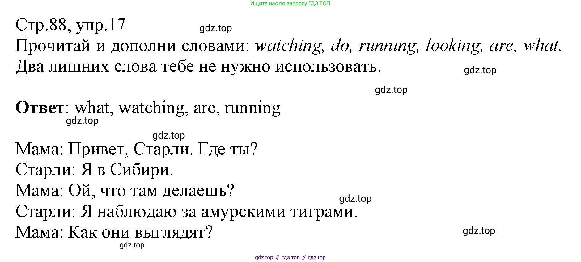 ГДЗ Английский язык (english), 3 класс Сборник упражнений, автор: Котова Марина Петровна, издательство Просвещение, Москва, 2024, белого цвета, страница 88, номер 17, Решение