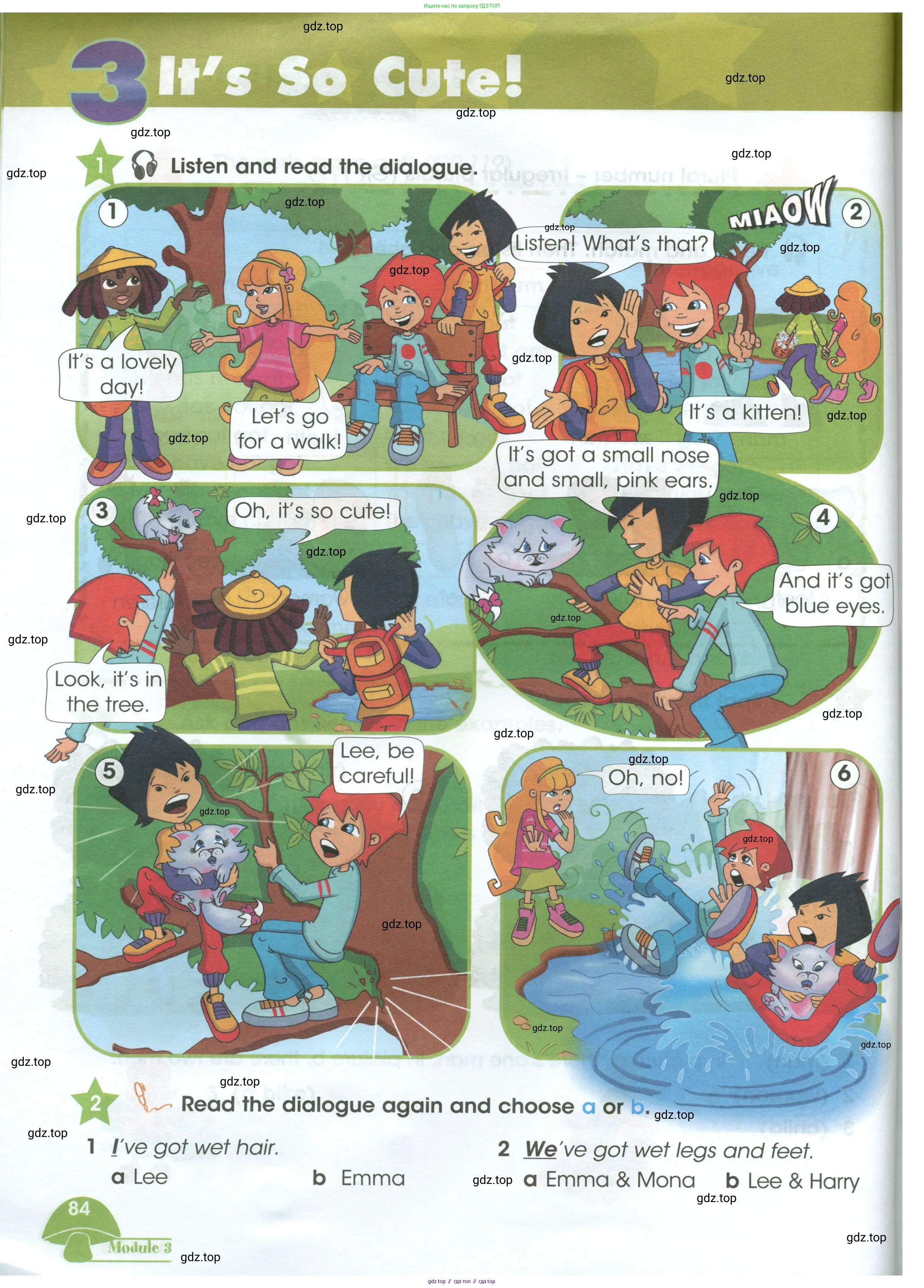 Английский язык (english), 3 класс Учебник (Student's book), авторы: Баранова Ксения Михайловна (Baranova Ksenia), Дули Дженни (Dooley Jenny), Копылова Виктория Викторовна (Kopylova Victoria), Мильруд Радислав Петрович (Millrood Radislav), Эванс Вирджиния (Evans Virginia), издательство Просвещение, Москва, 2023, зелёного цвета, Часть ( Part) 1, страница 84