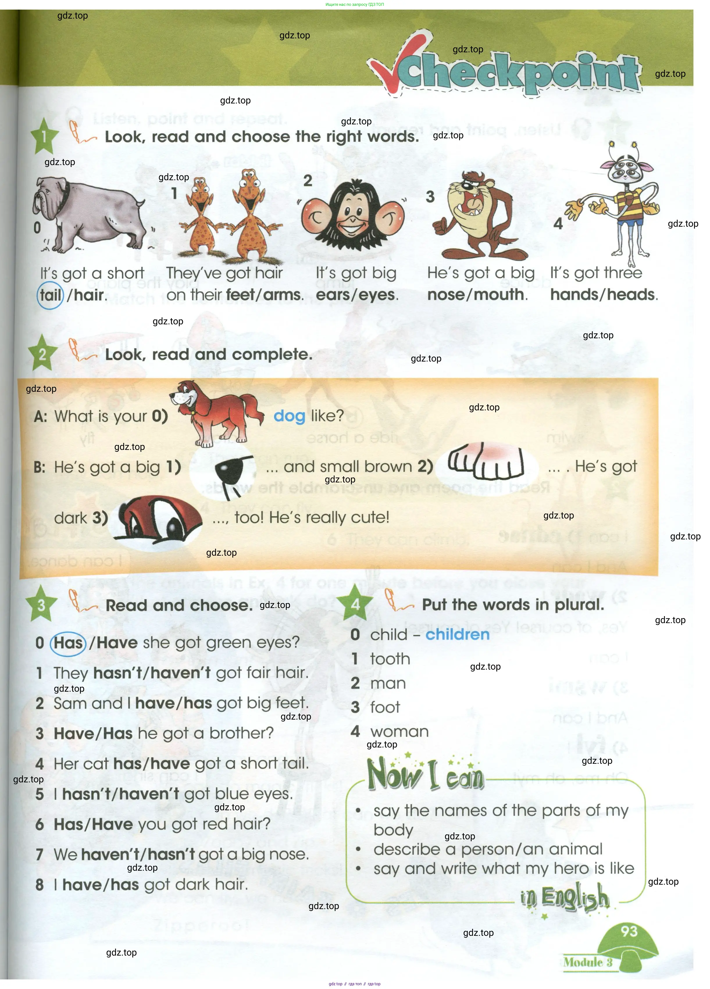 Английский язык (english), 3 класс Учебник (Student's book), авторы: Баранова Ксения Михайловна (Baranova Ksenia), Дули Дженни (Dooley Jenny), Копылова Виктория Викторовна (Kopylova Victoria), Мильруд Радислав Петрович (Millrood Radislav), Эванс Вирджиния (Evans Virginia), издательство Просвещение, Москва, 2023, зелёного цвета, Часть ( Part) 1, страница 93